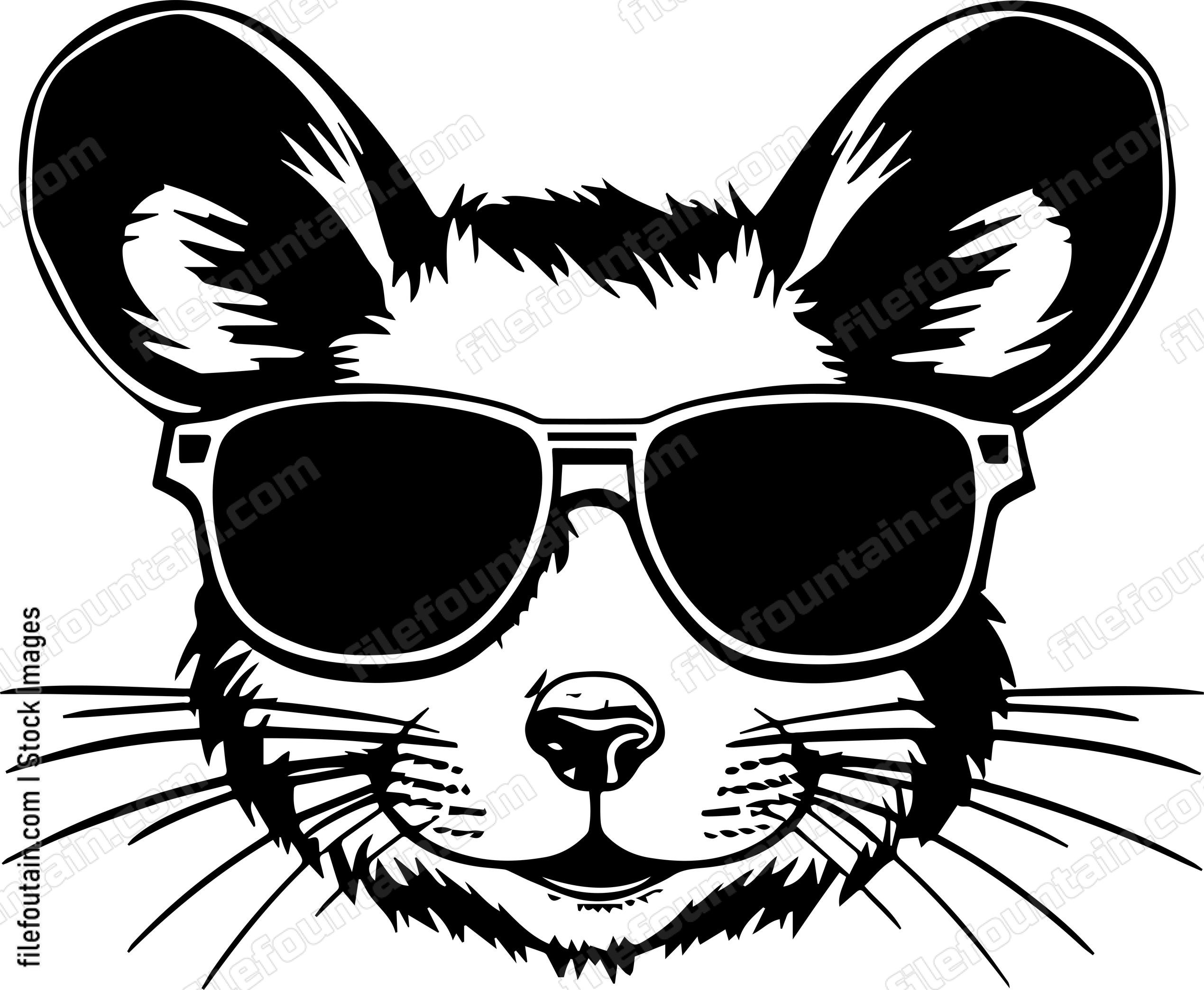 Mouse In Sunglasses