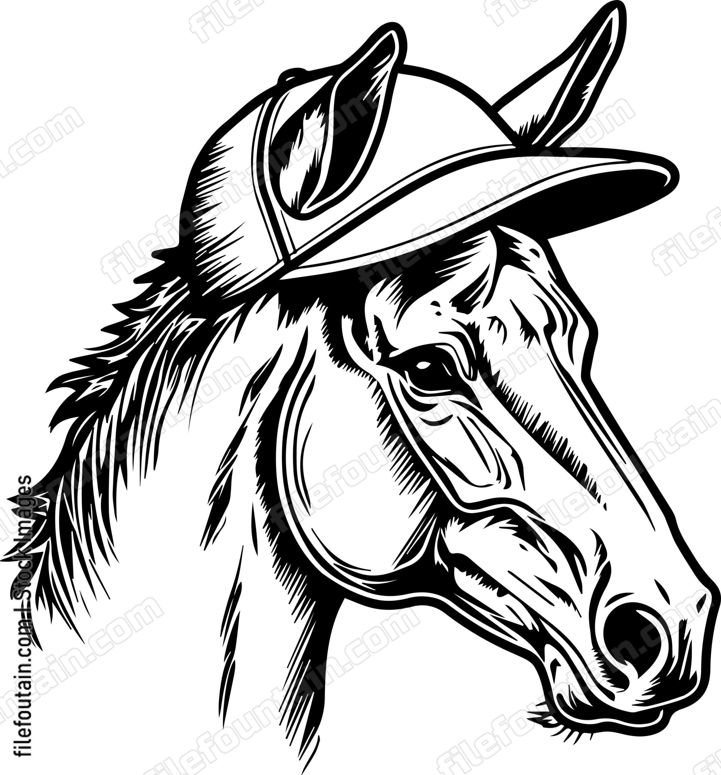 Mule In Baseball Cap