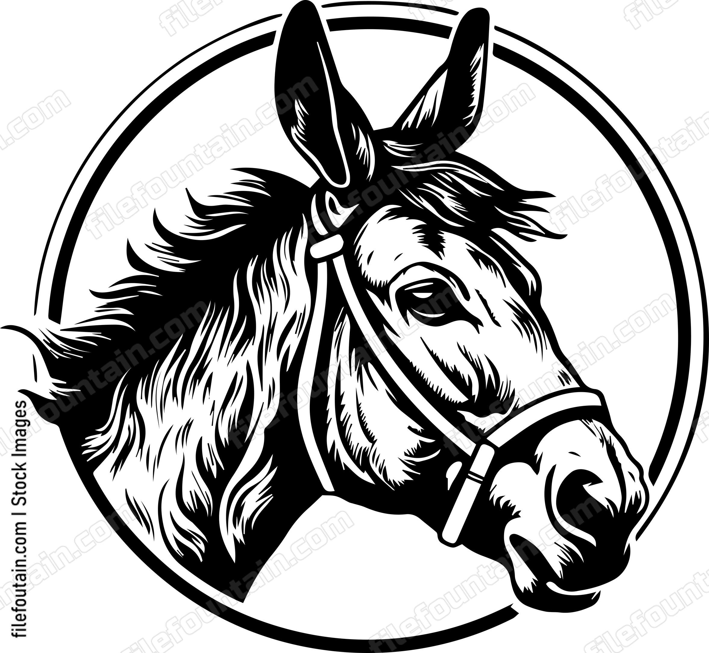 Mule Smoking A Cigar