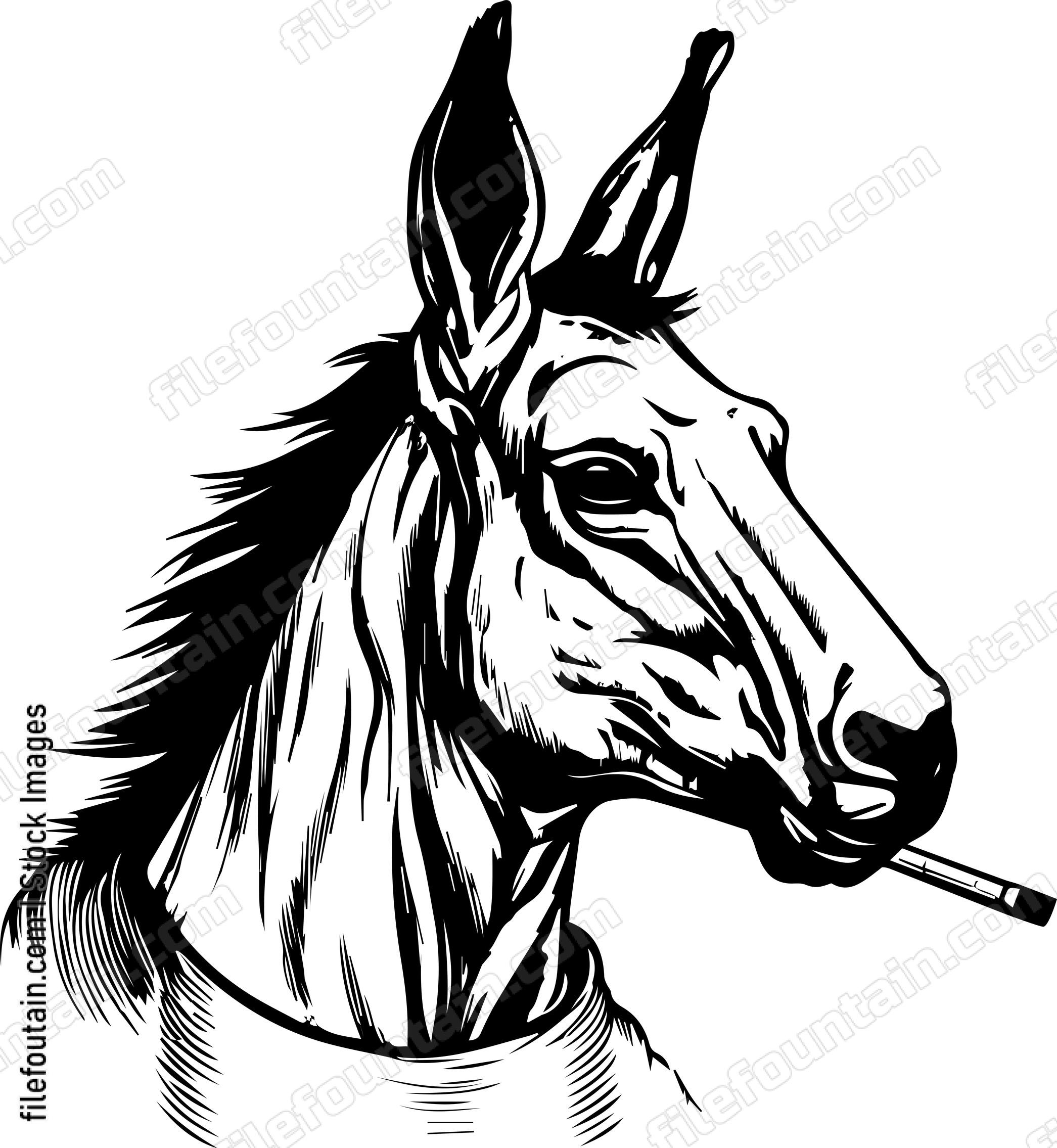 Mule Smoking A Cigar