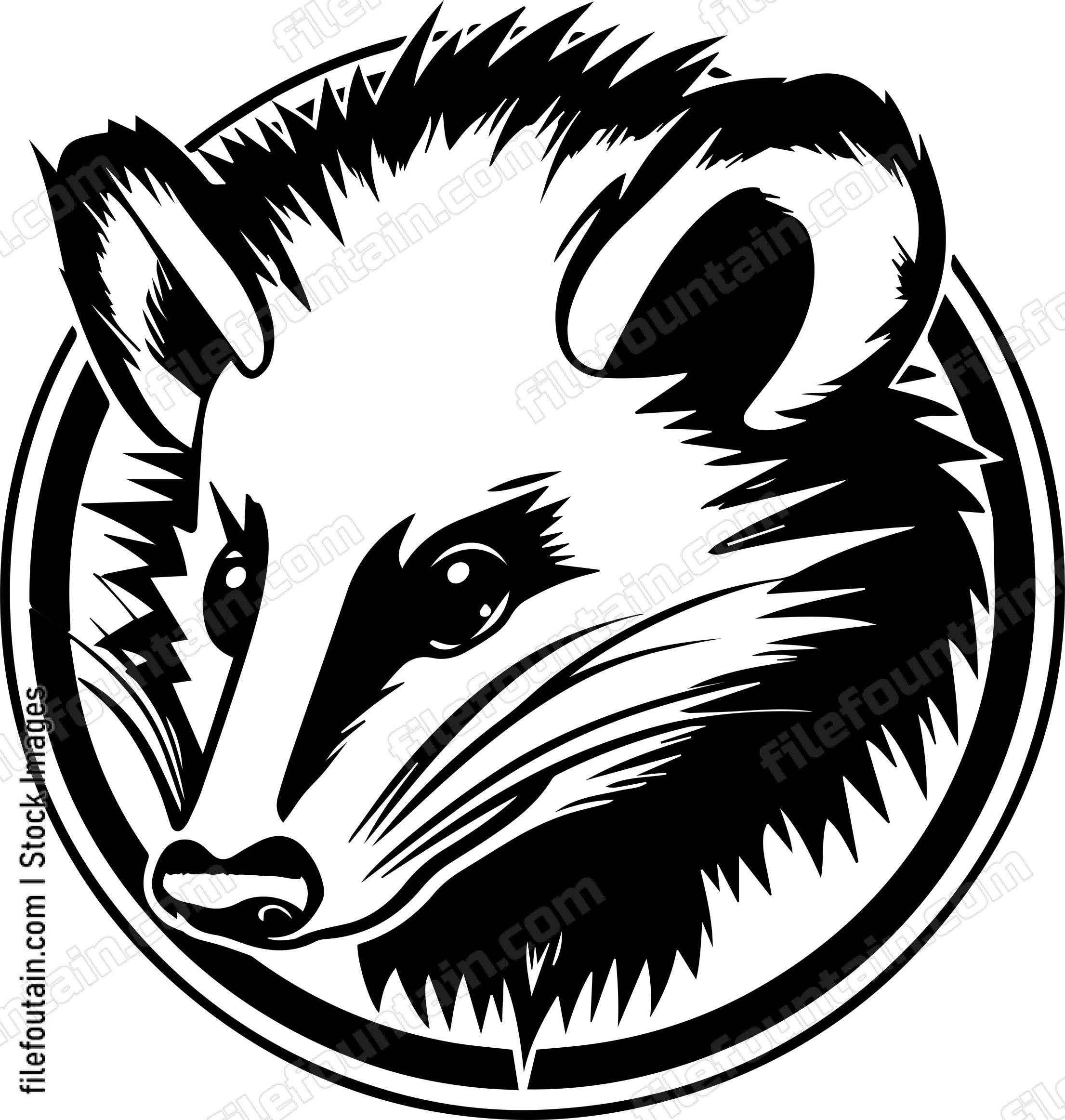 Opossum