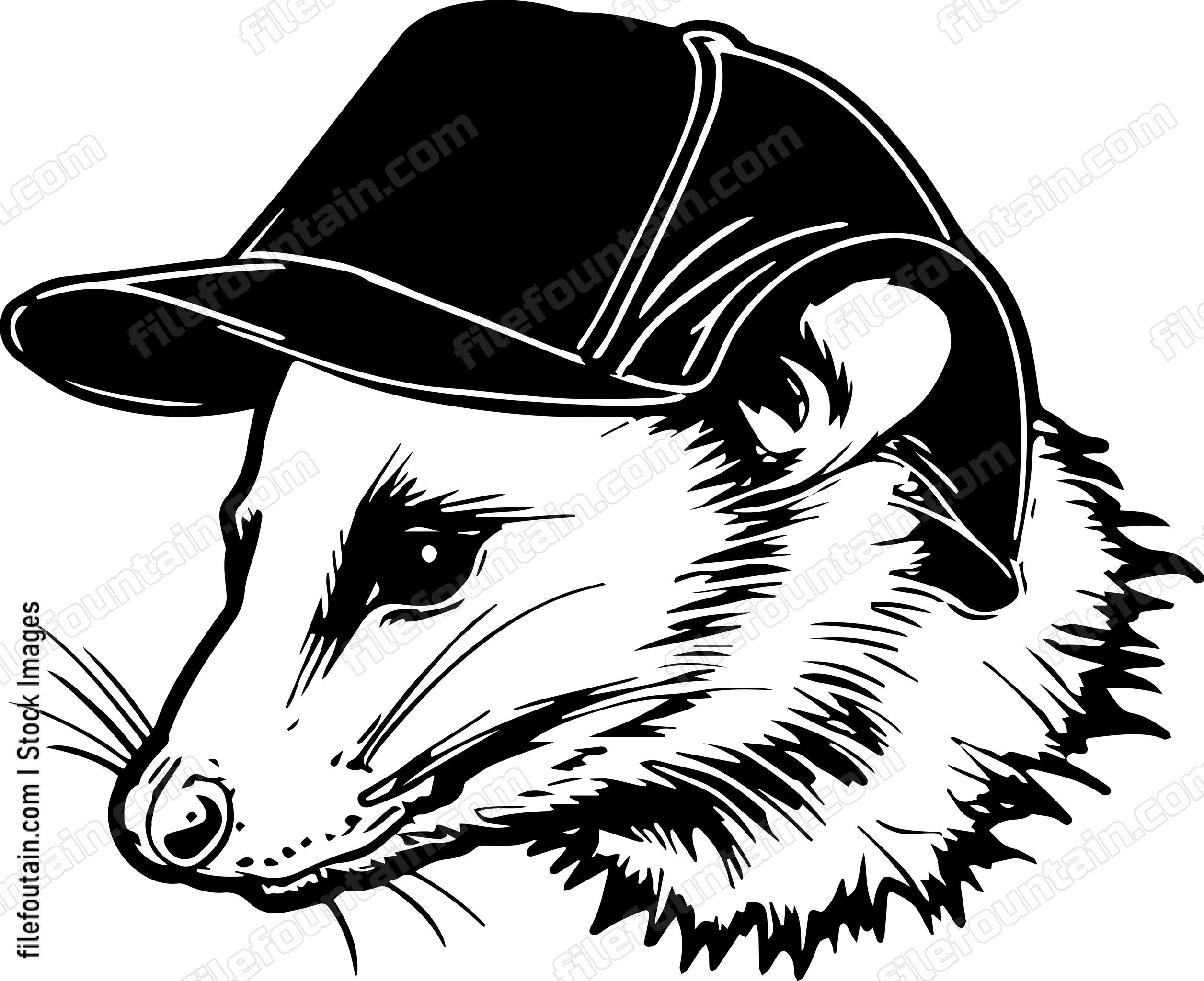 Opossum In Baseball Cap