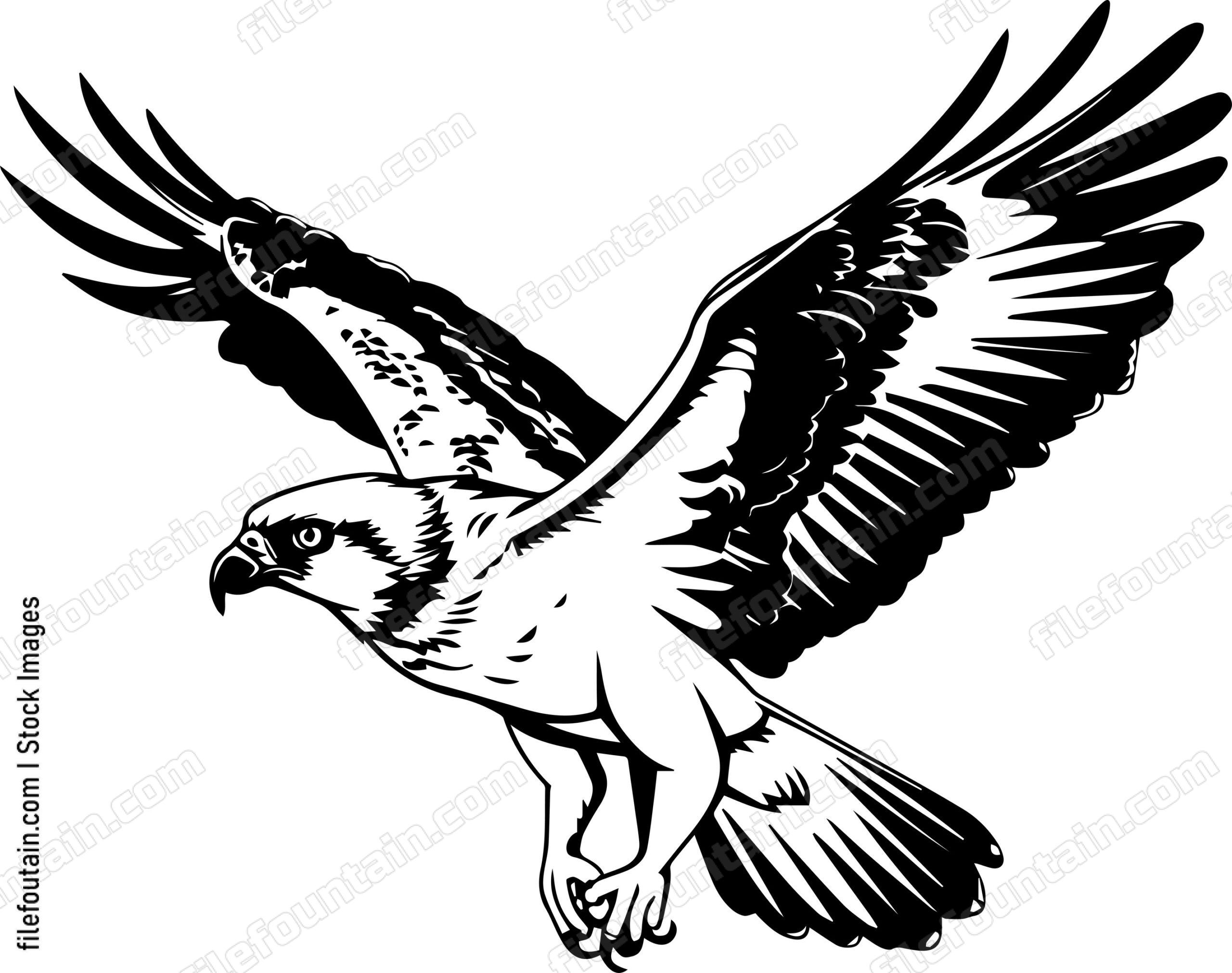 osprey