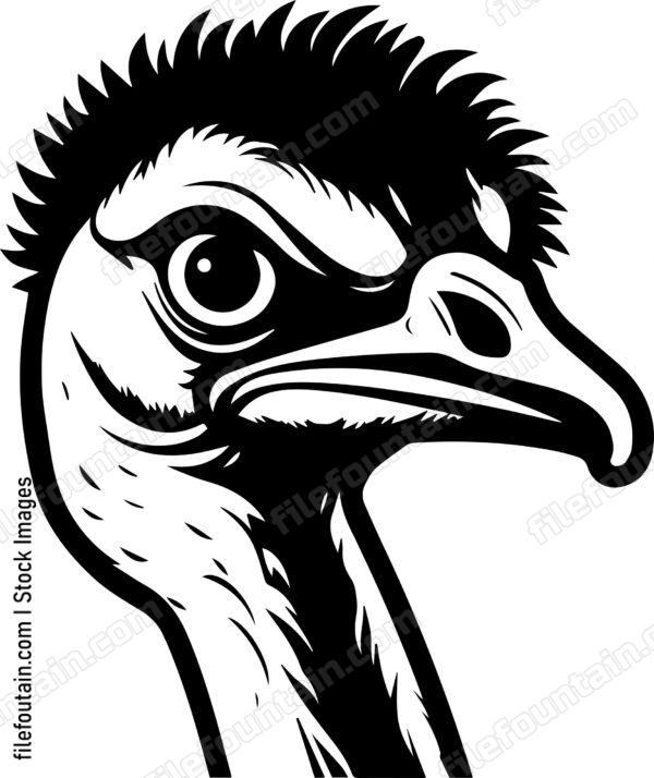 Ostrich