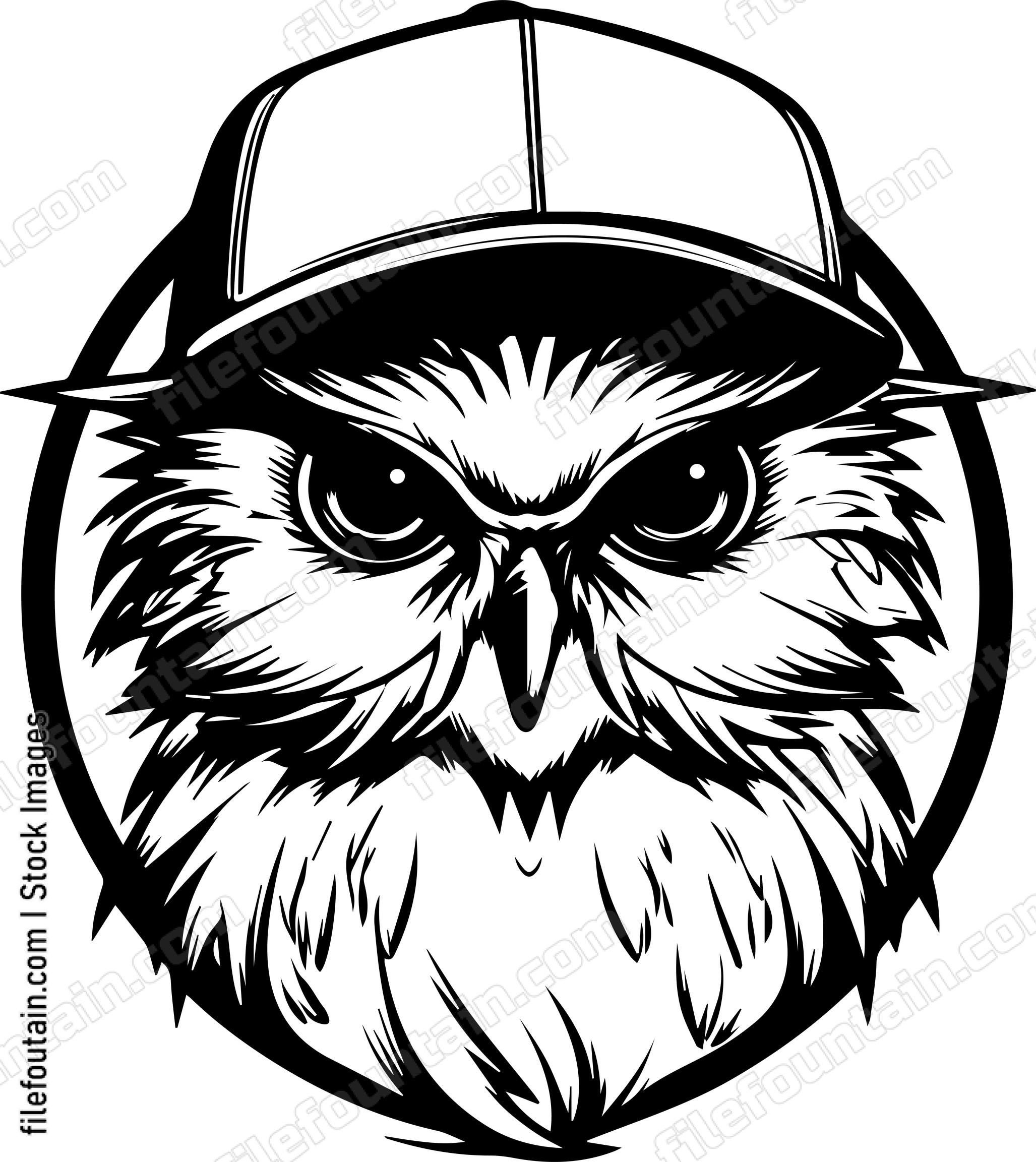 Owl In Baseball Cap