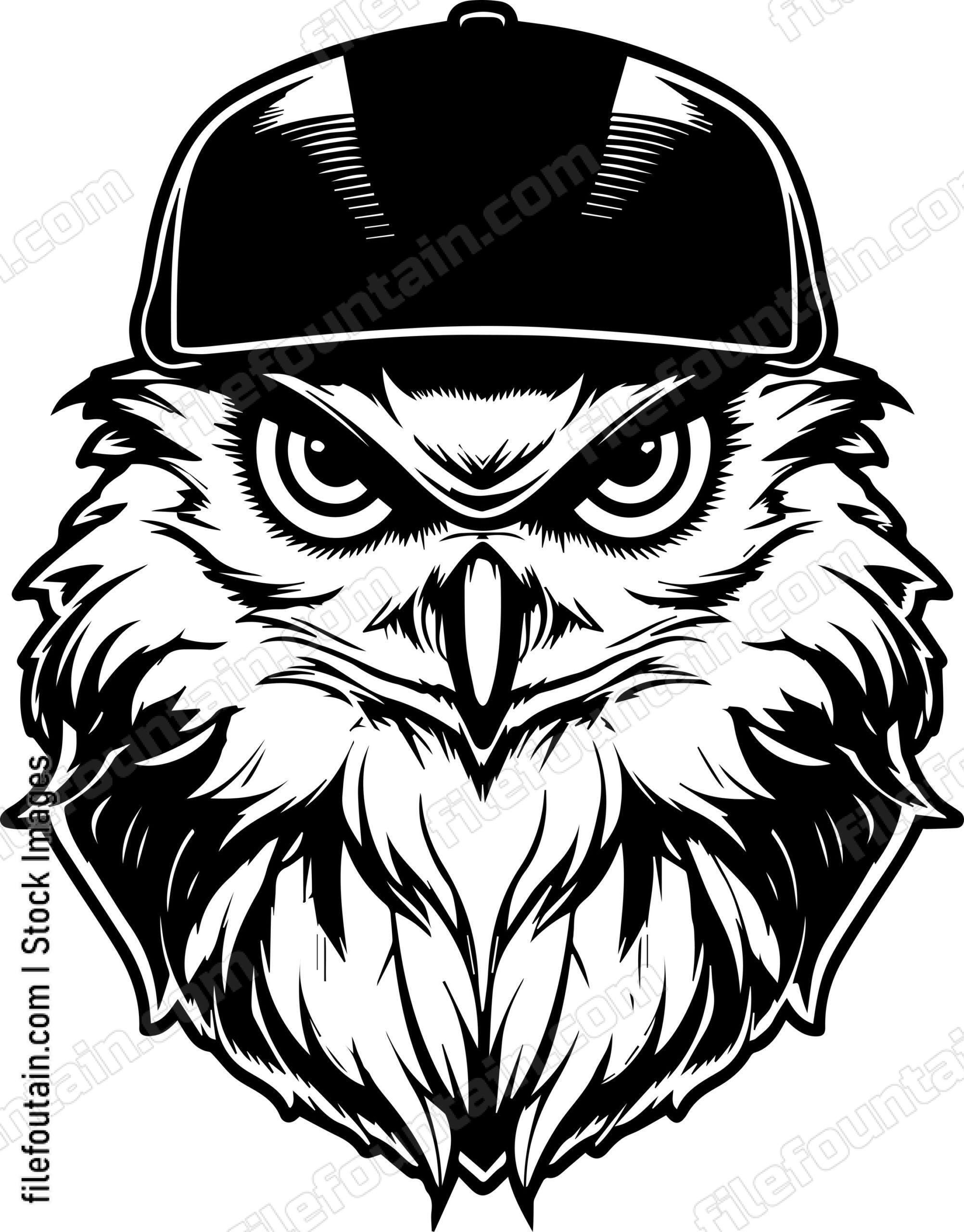 Owl In Baseball Cap