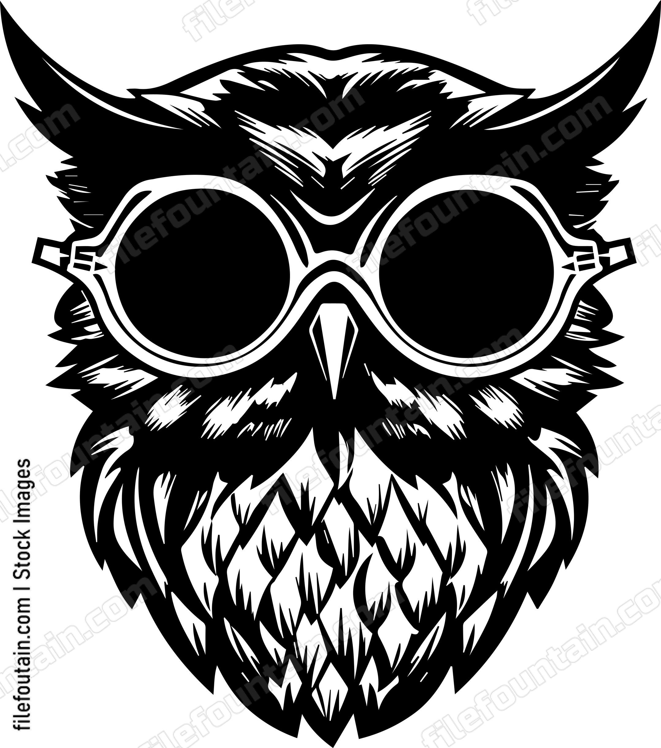 Owl In Sunglasses