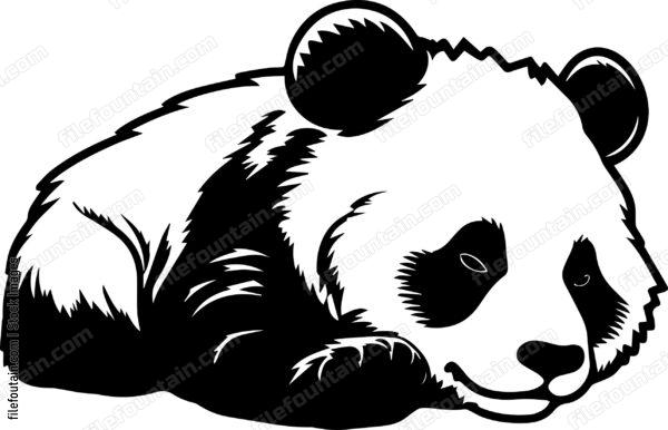 Panda Sleeping