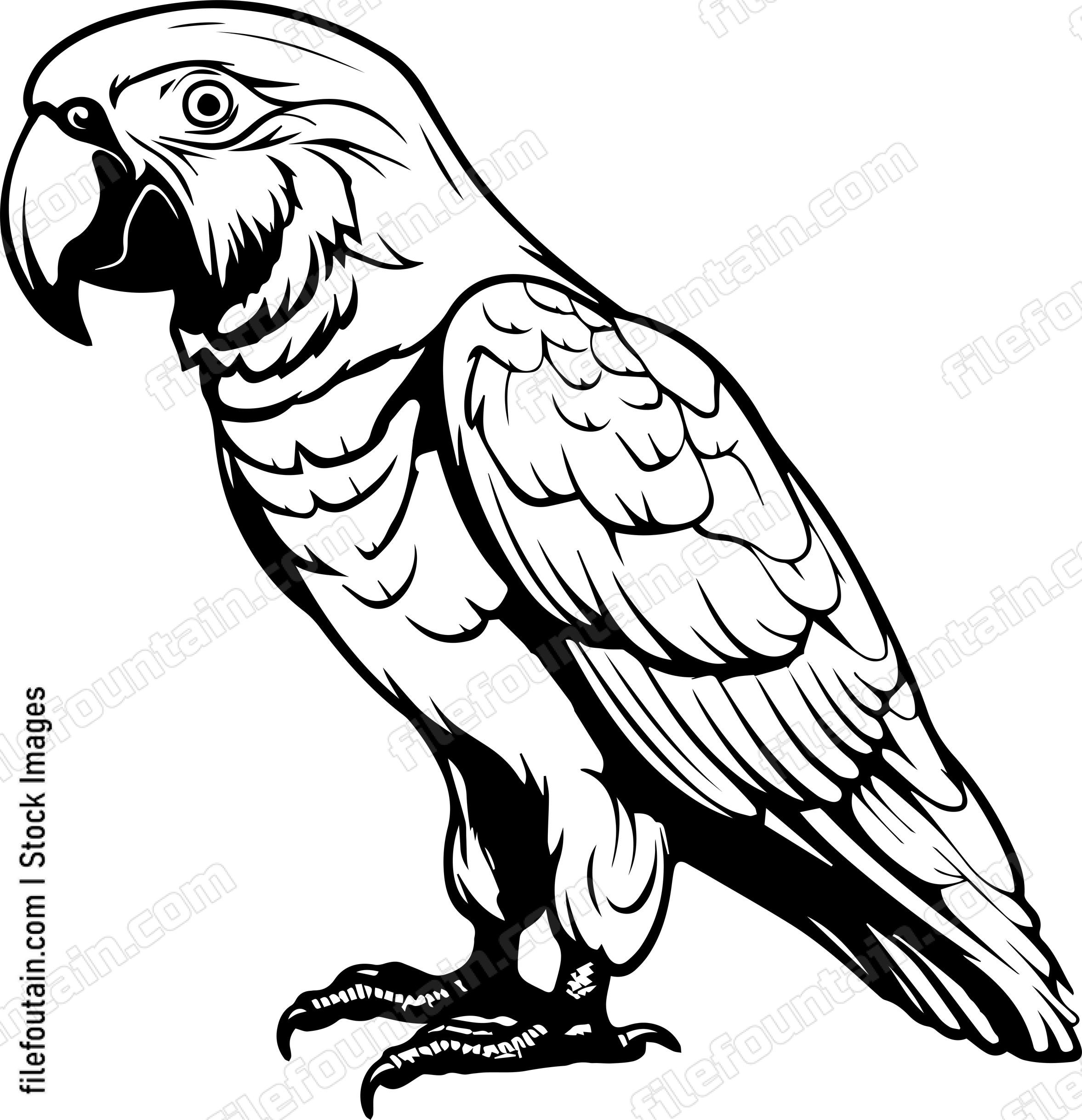 parrot