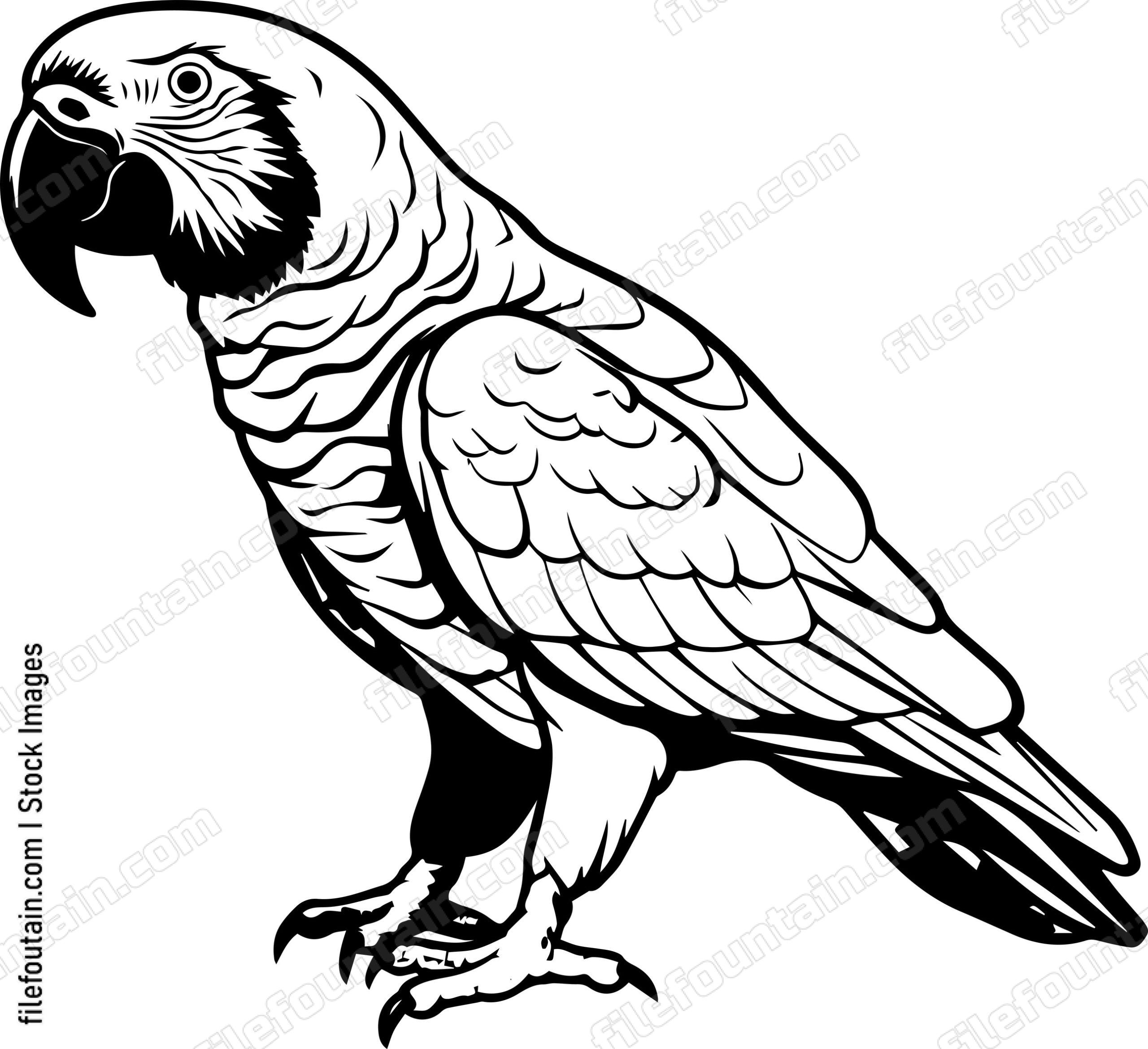 parrot