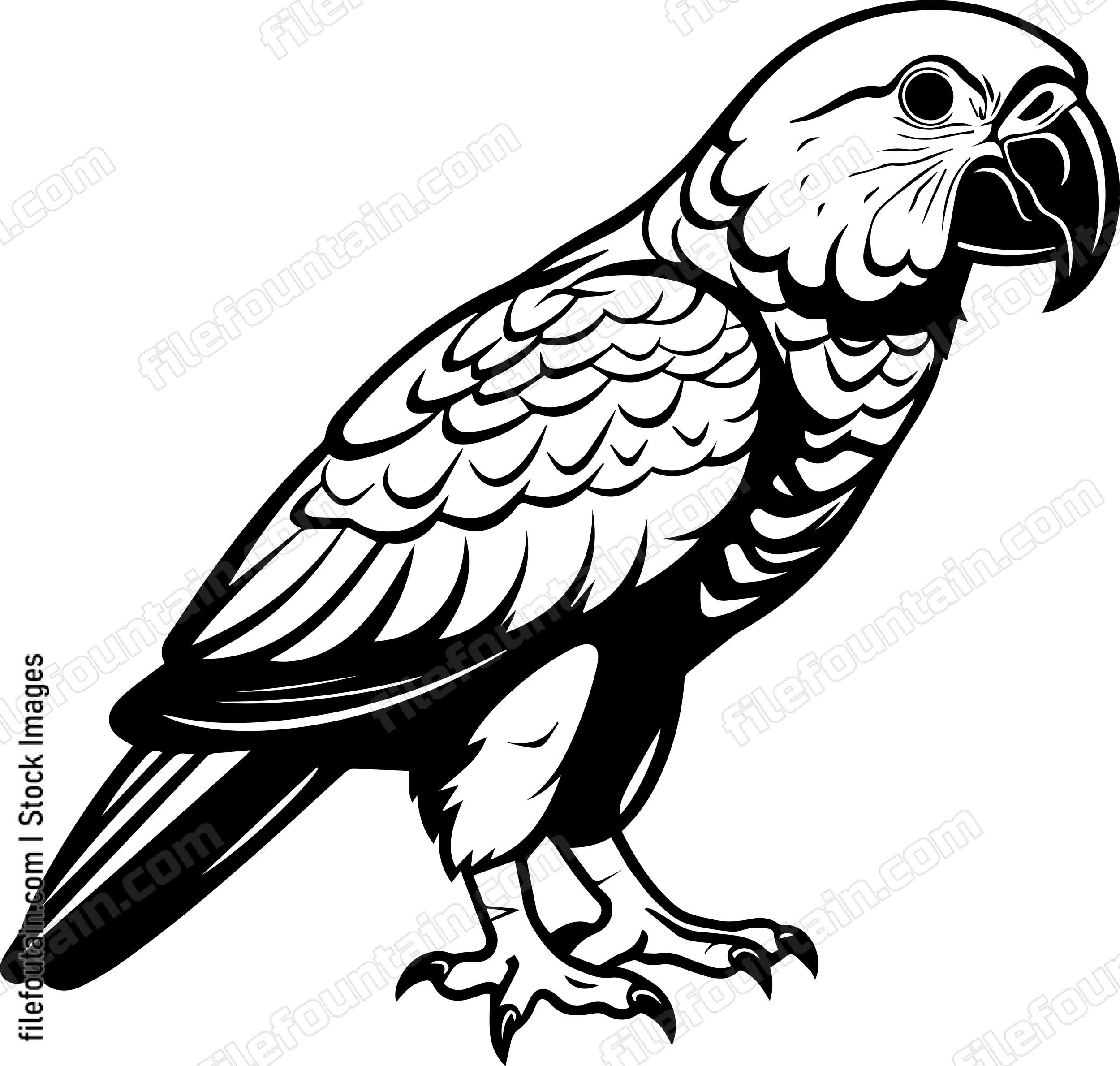 parrot