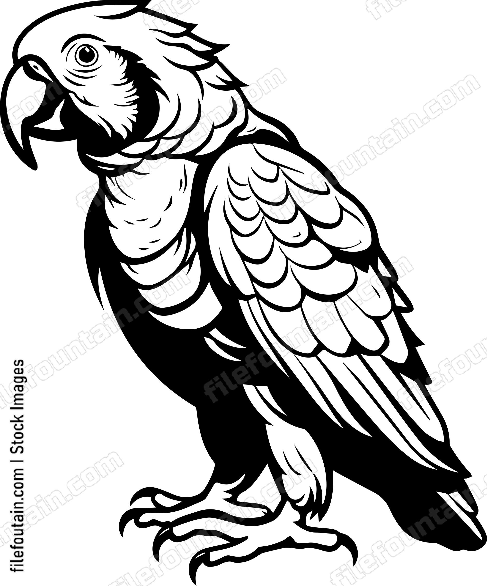 parrot