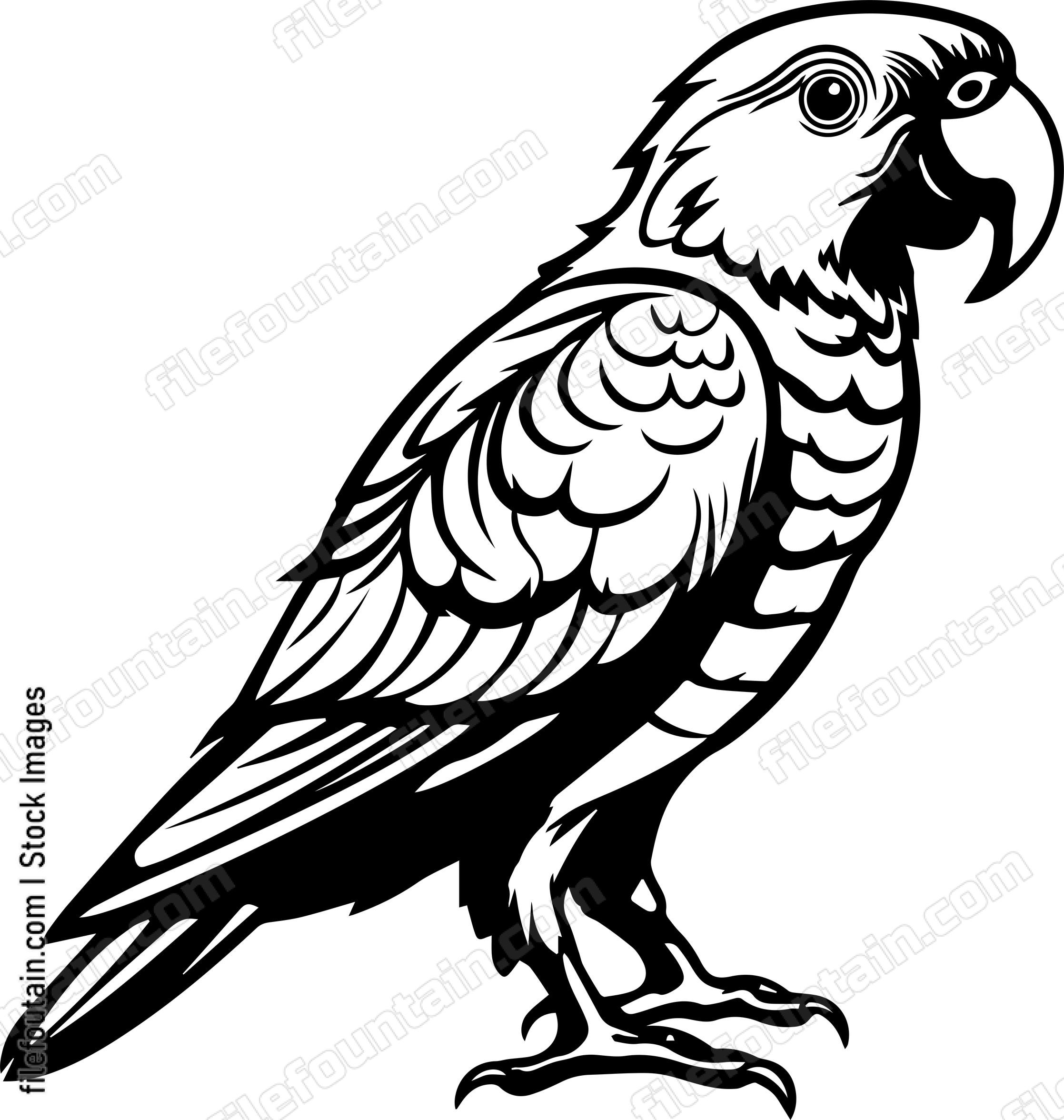 parrot