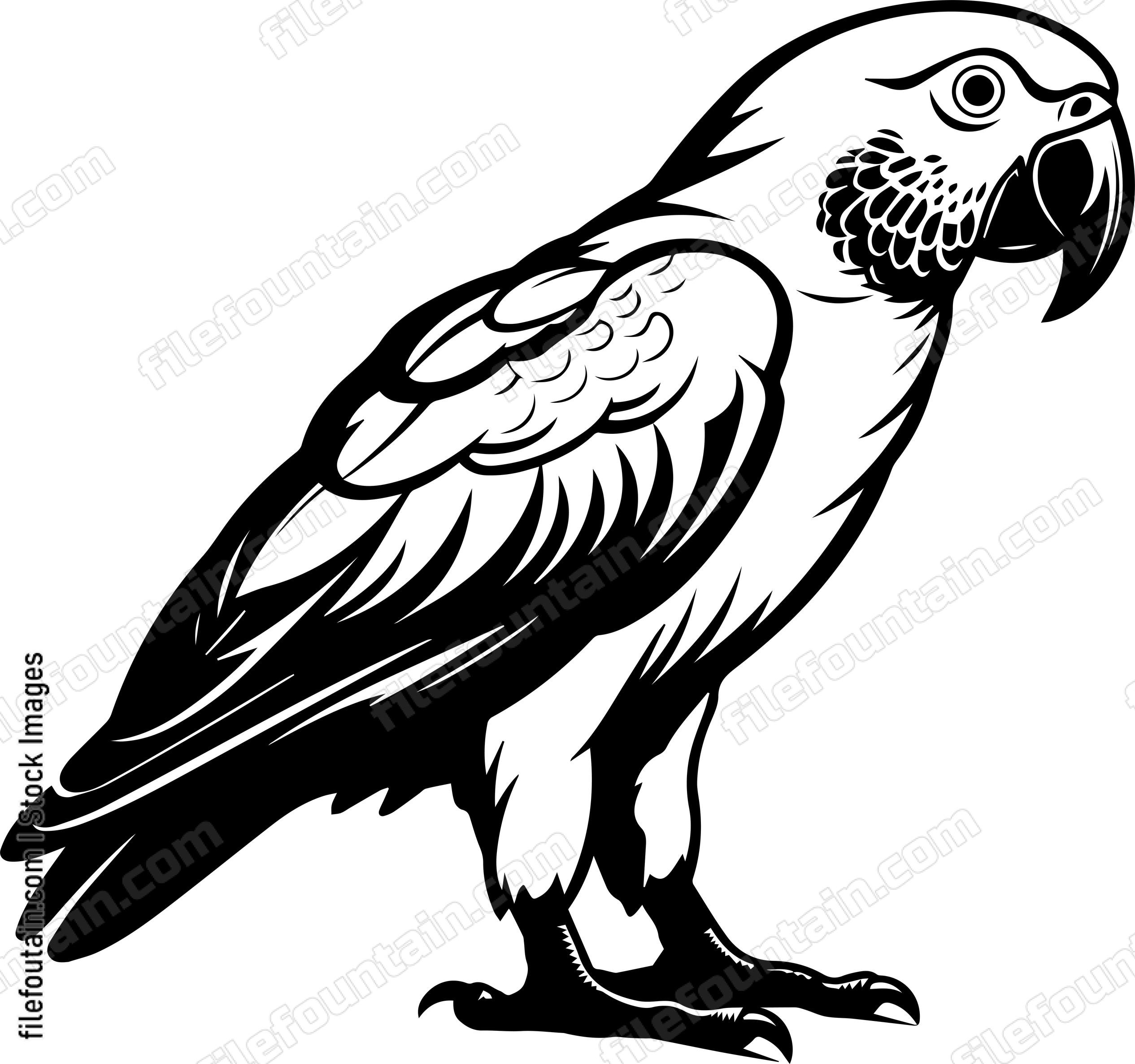 parrot