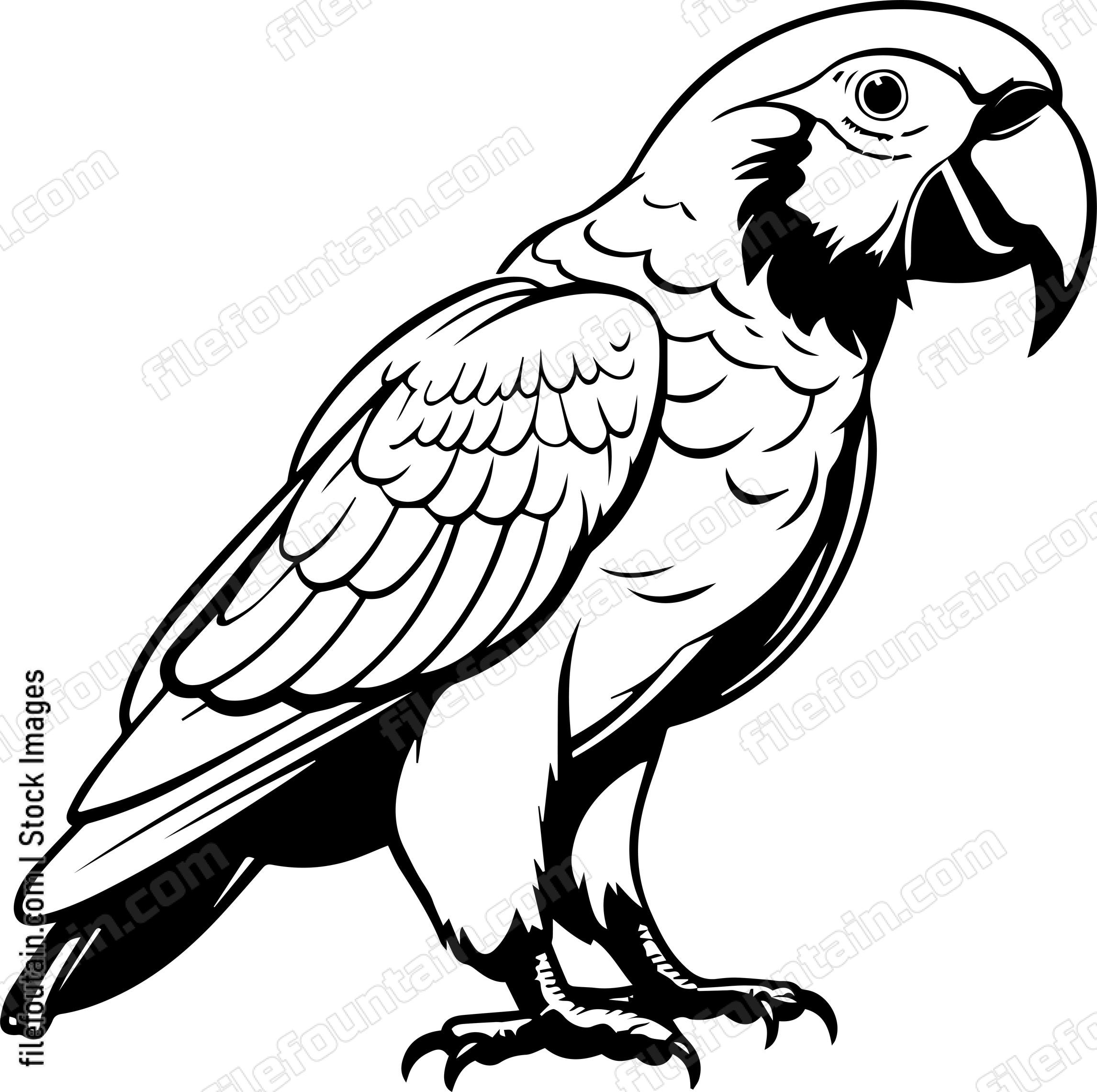 parrot