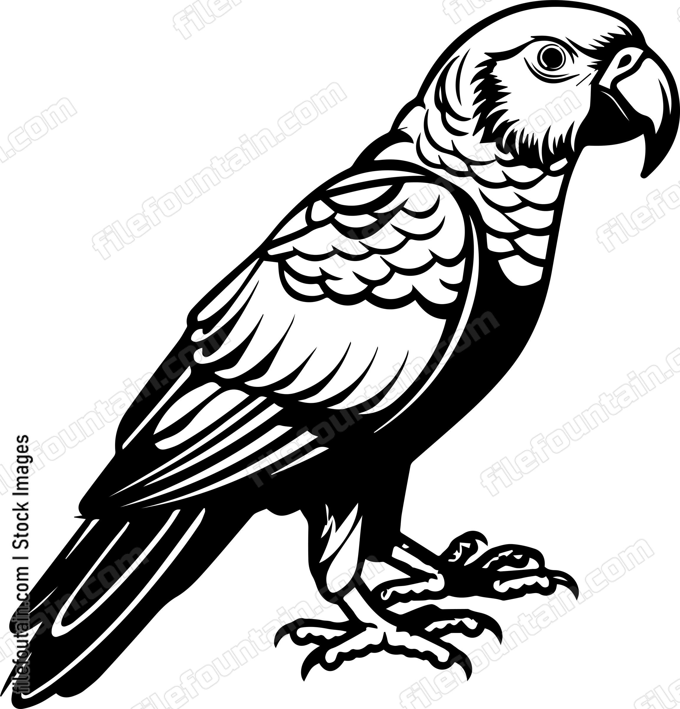 parrot