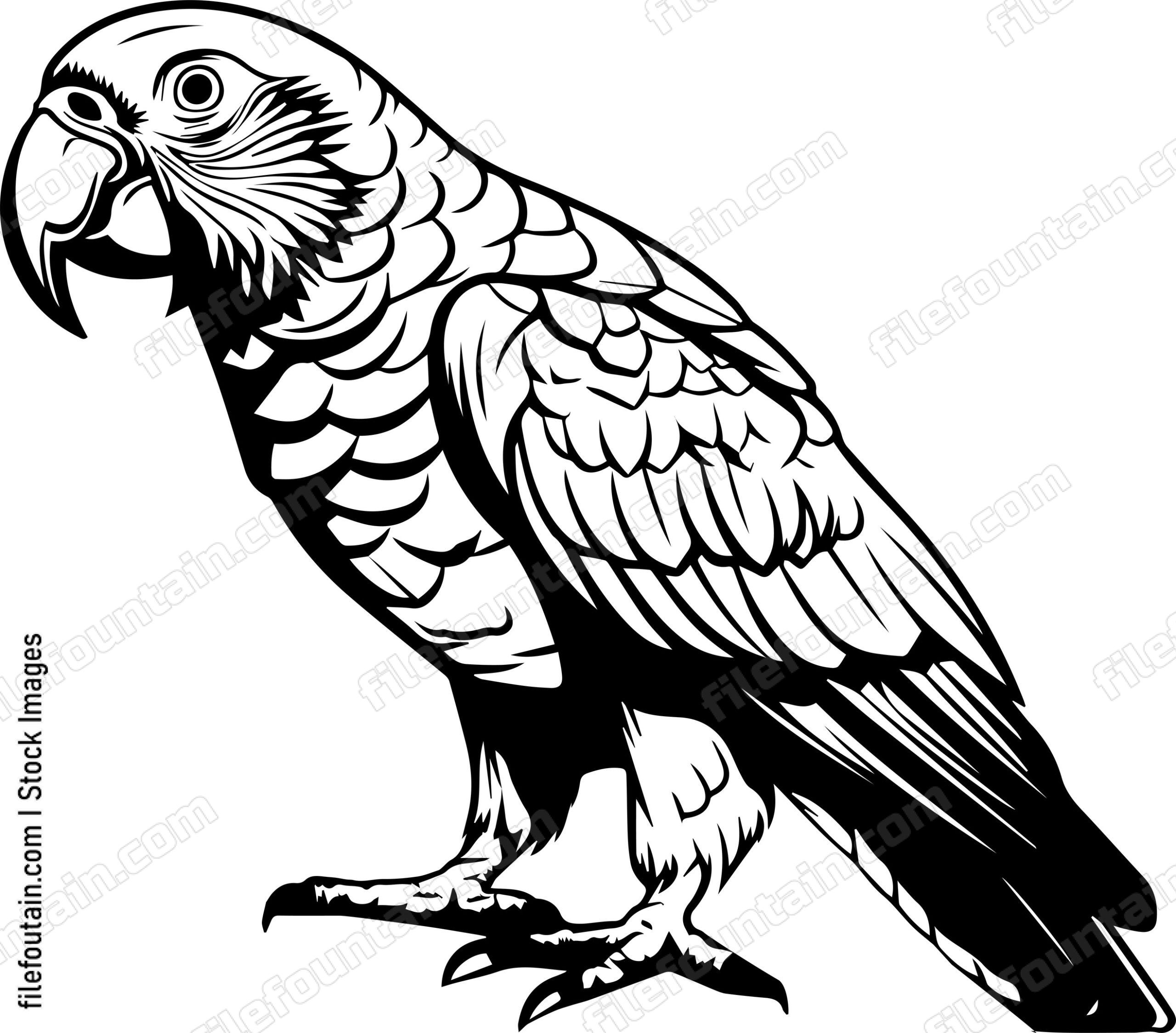 parrot
