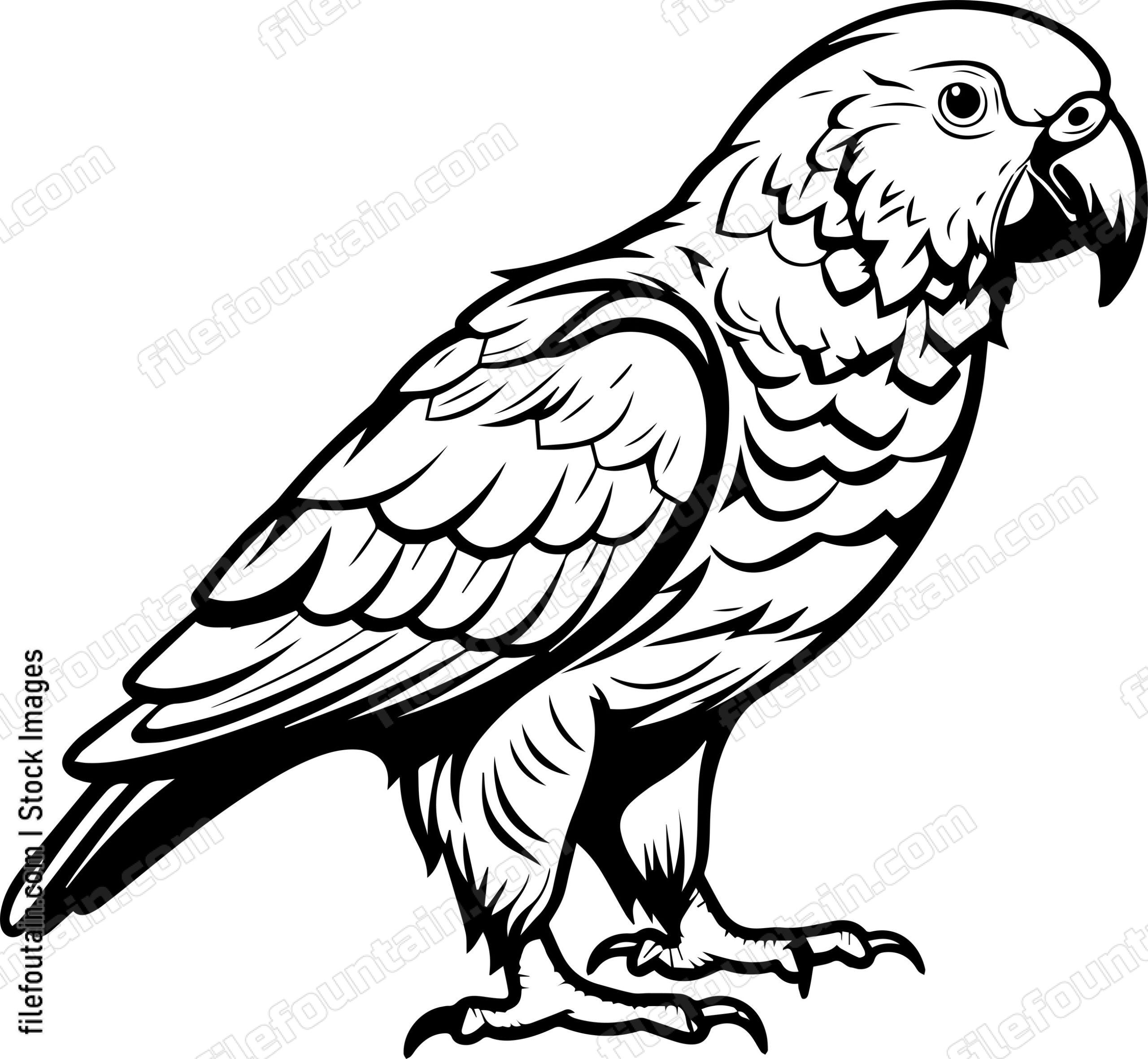 parrot