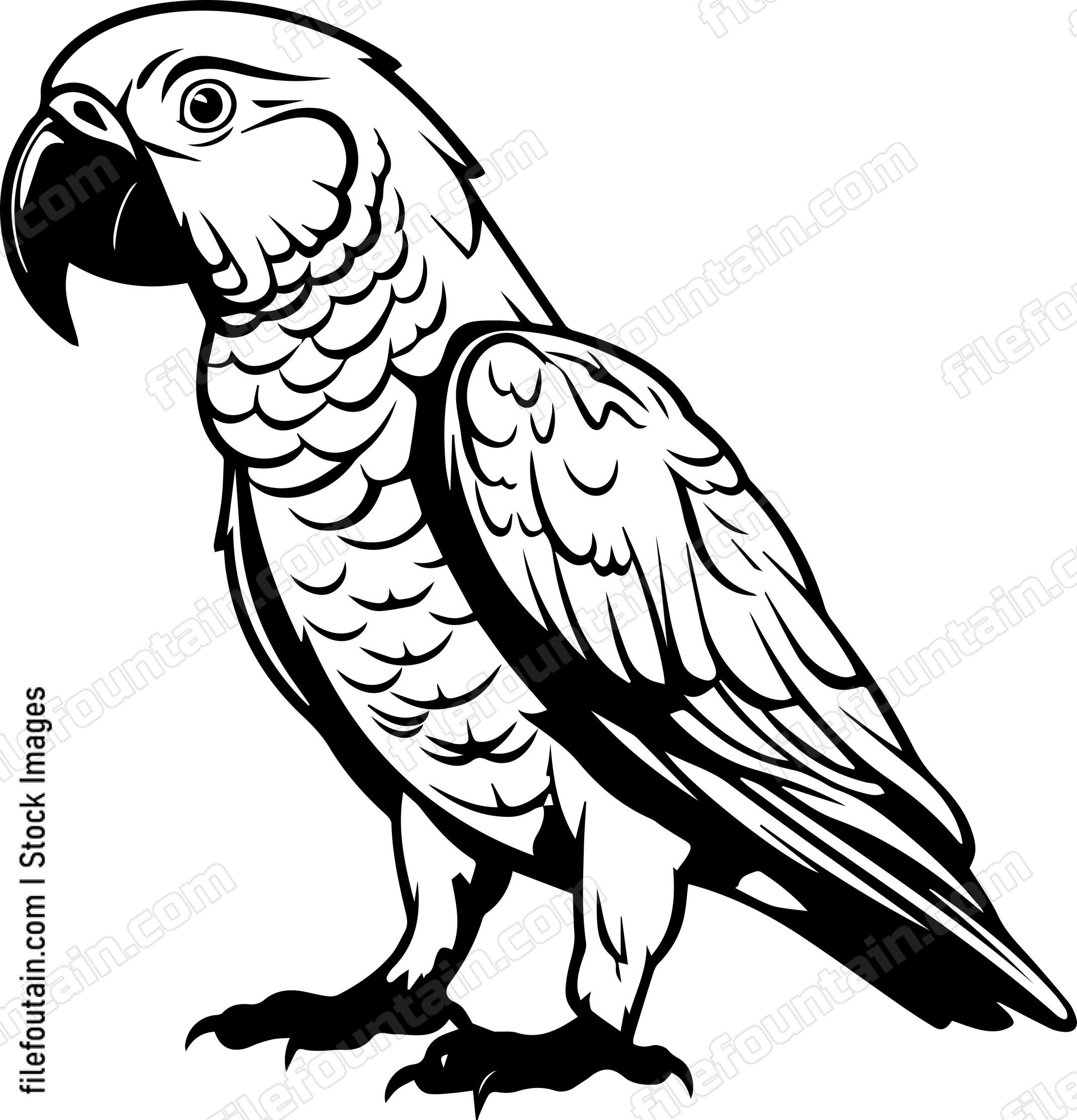 parrot