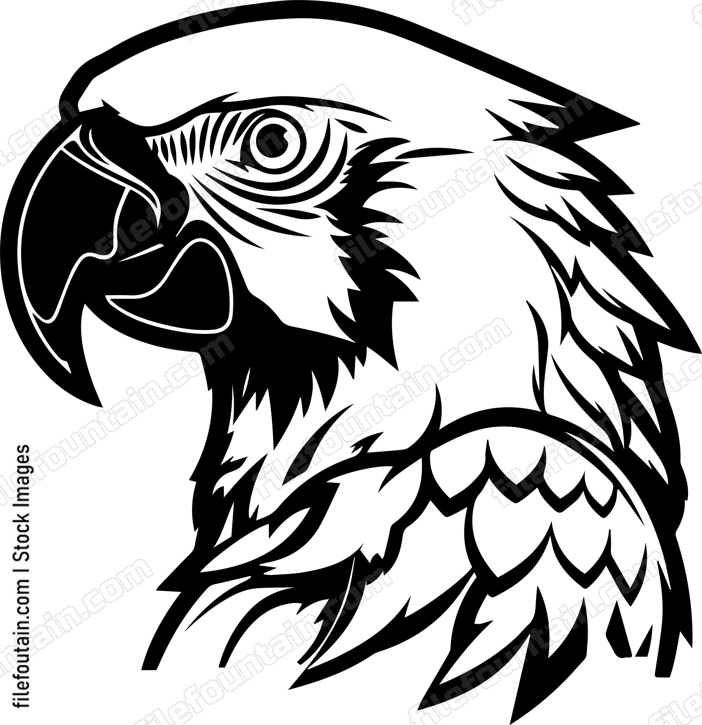 Parrot