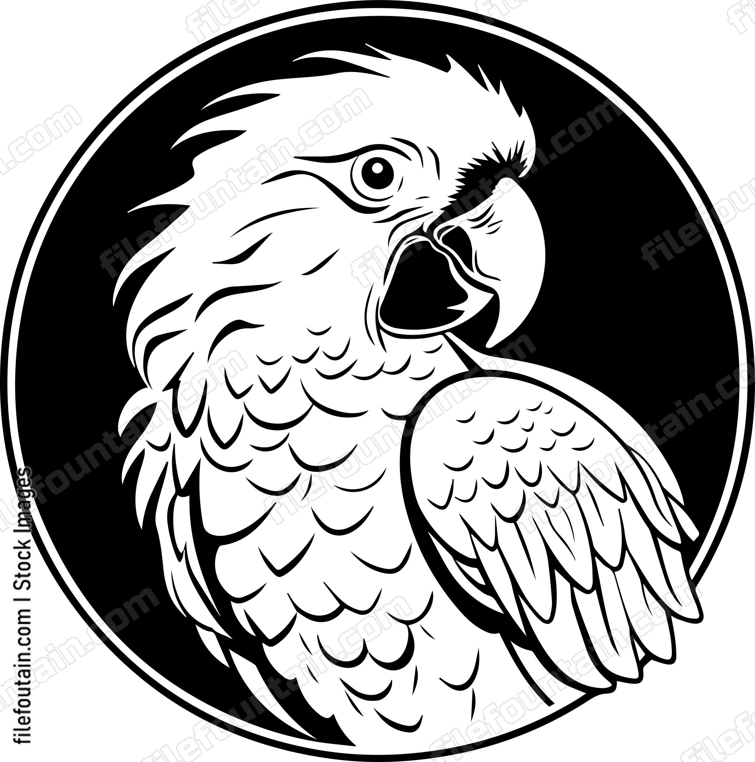 Parrot