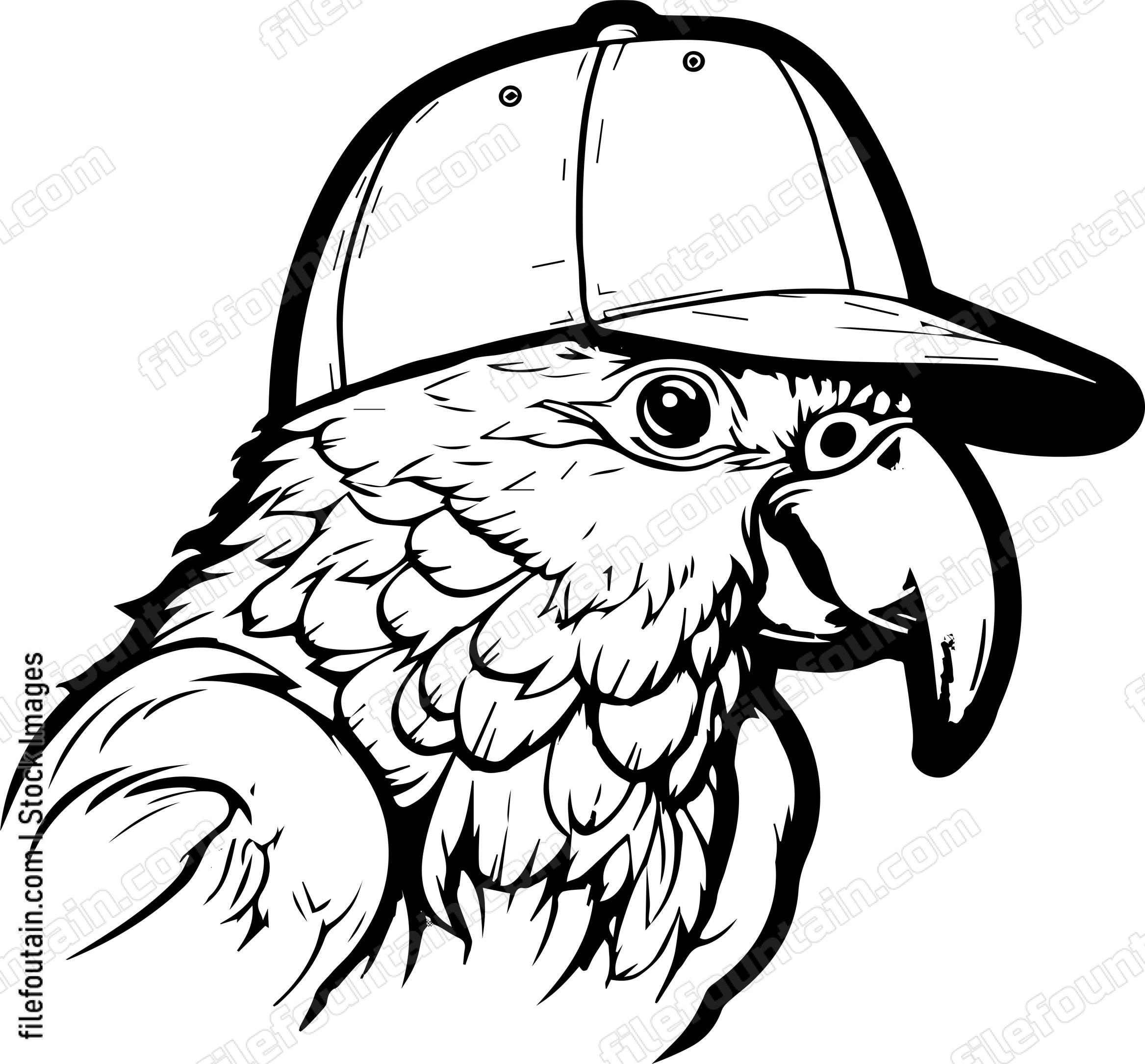 Parrot In Baseball Cap
