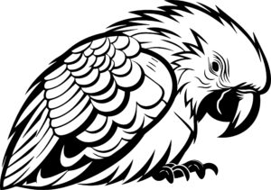 Parrot Sleeping