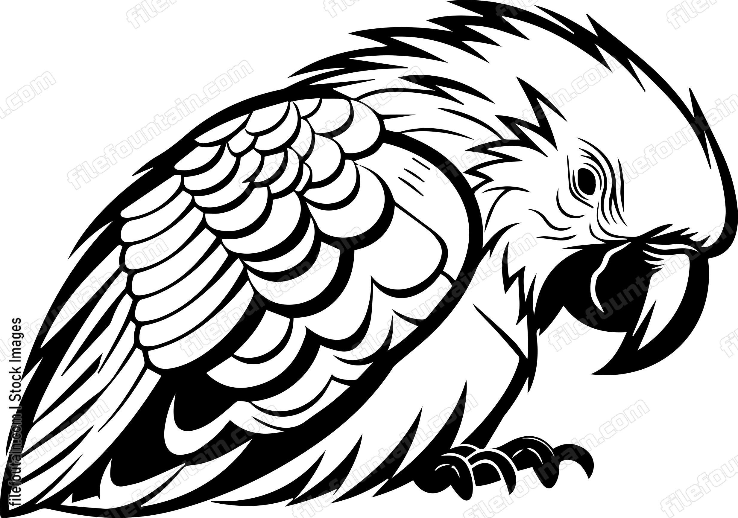 Parrot Sleeping