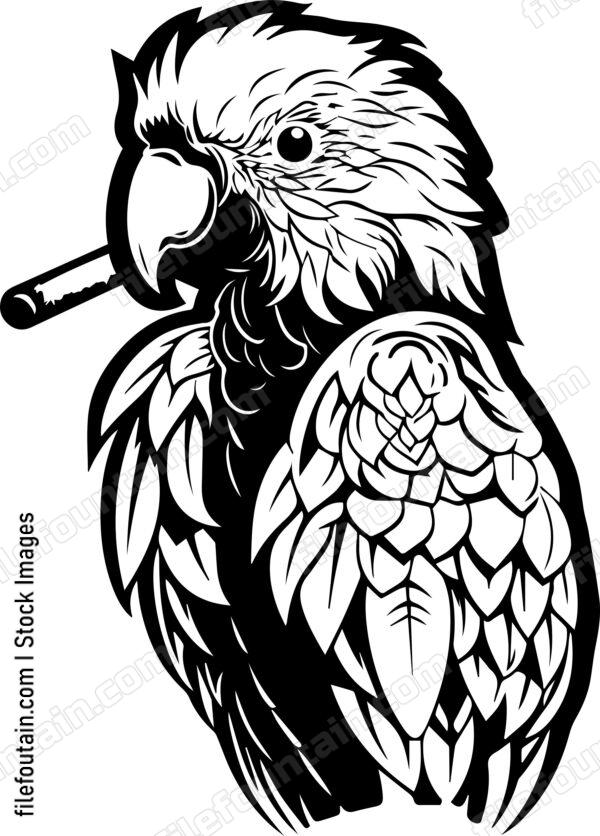 Parrot Smoking A Cigar