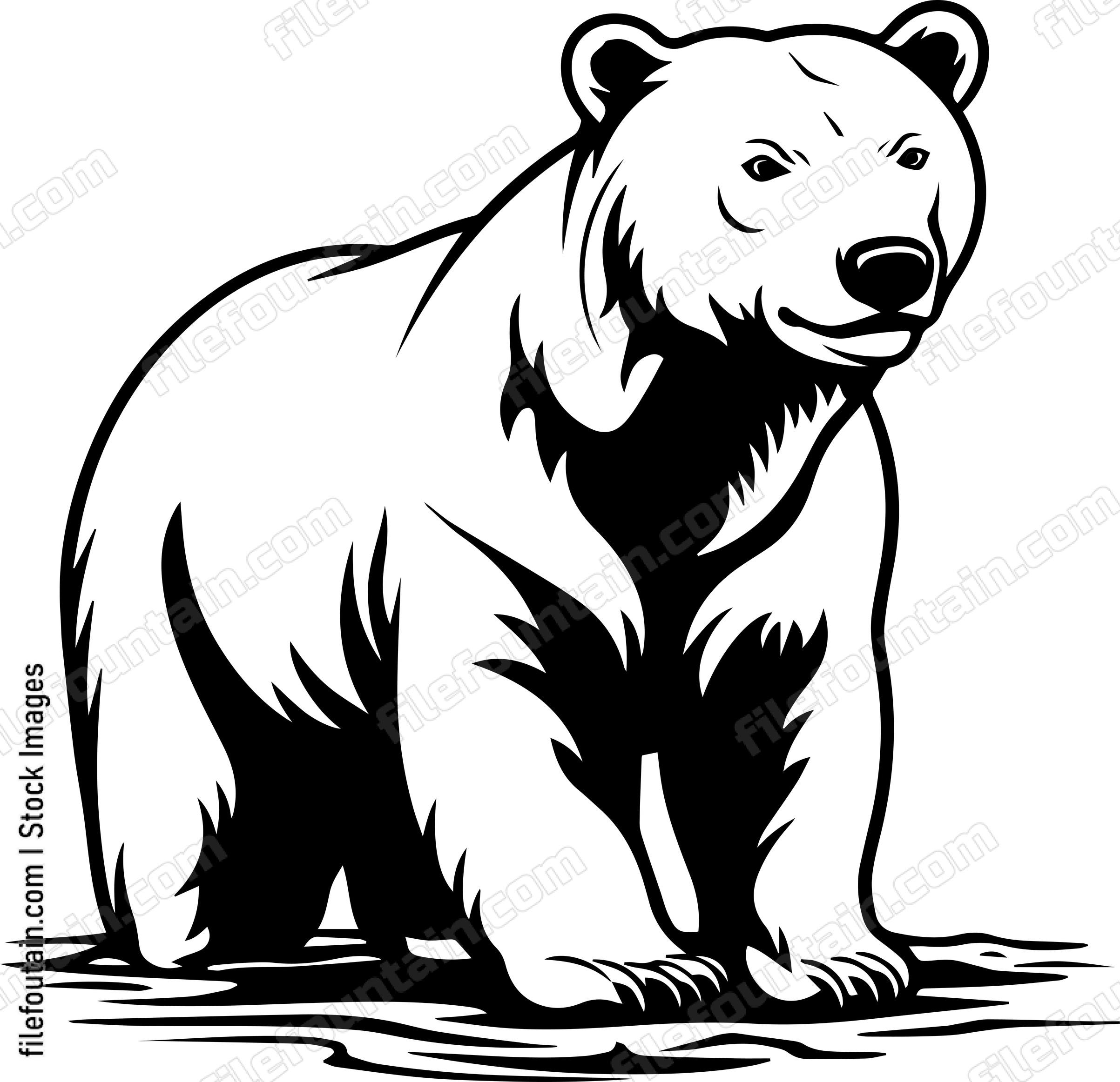 Polar Bear