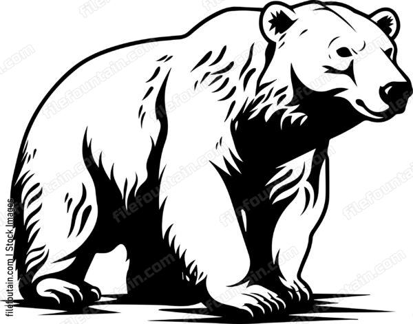 Polar Bear