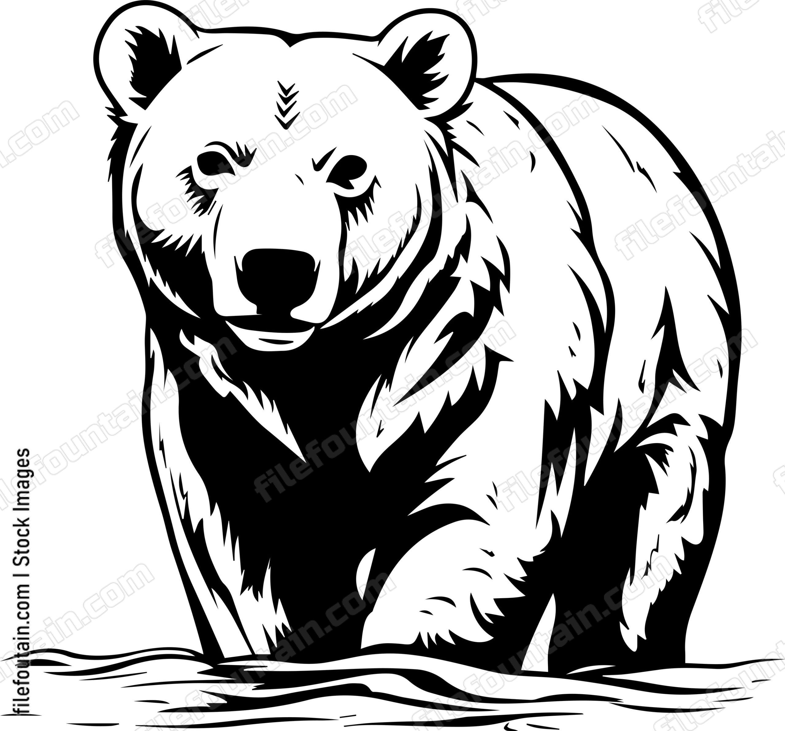 Polar Bear