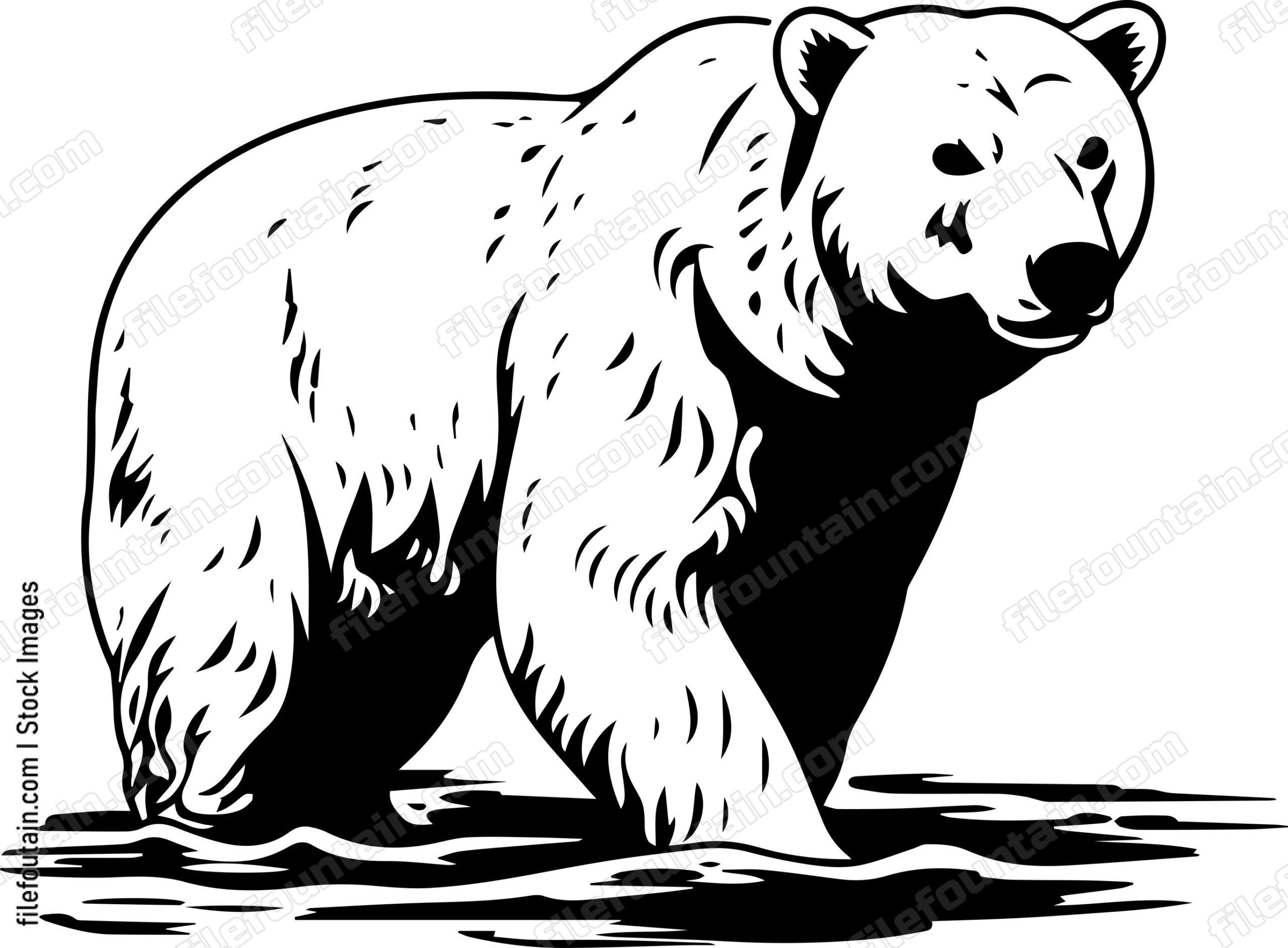 Polar Bear