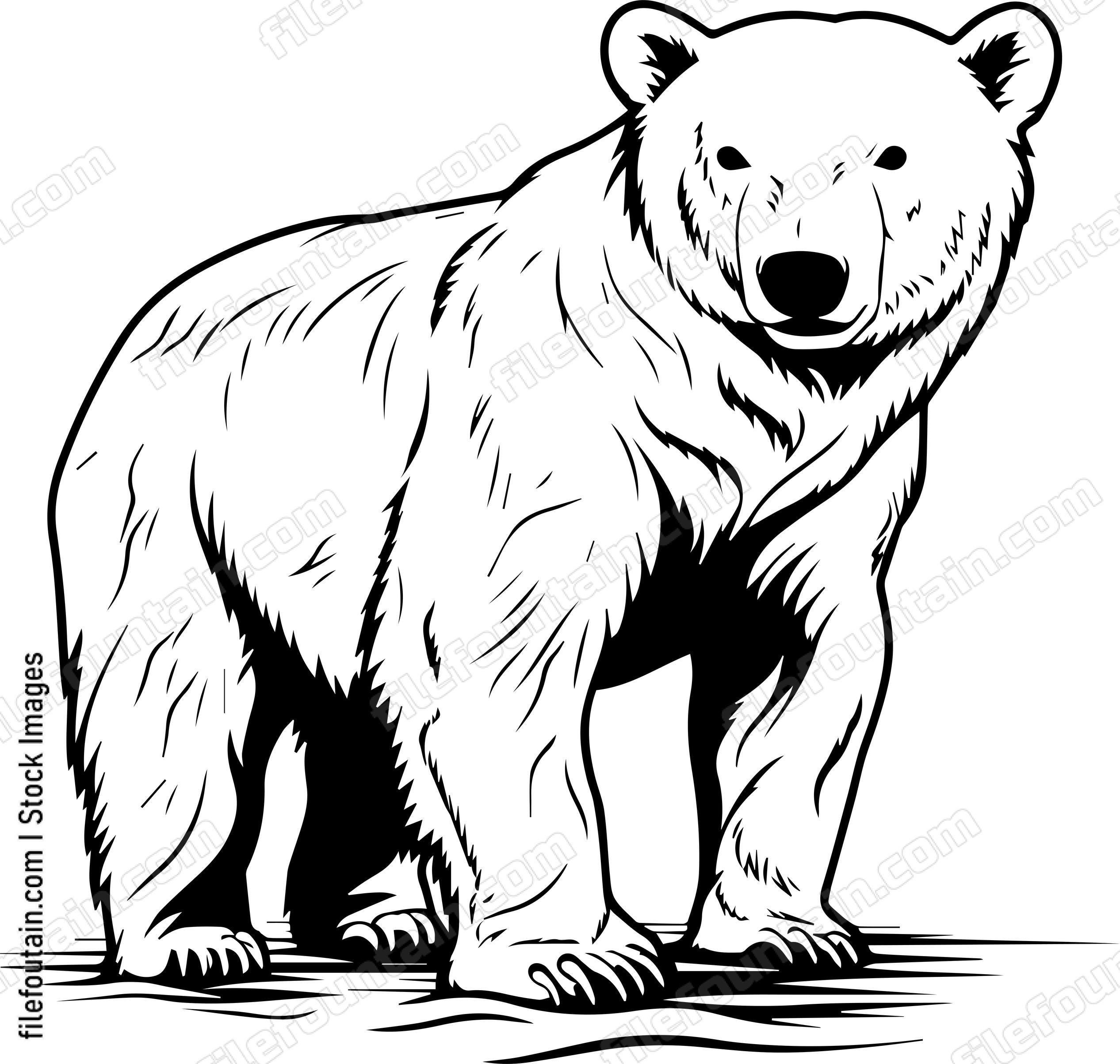 Polar Bear