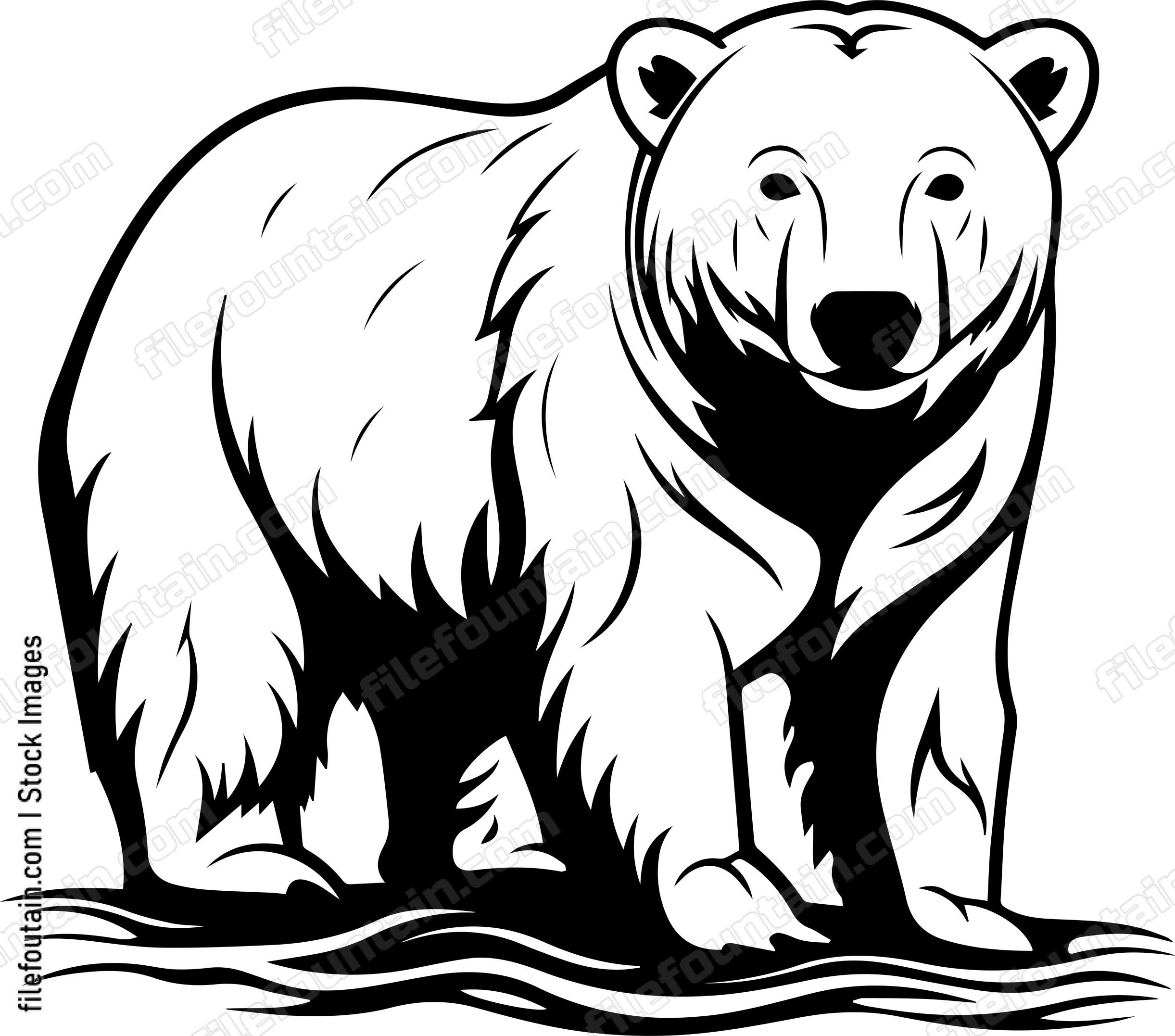 Polar Bear