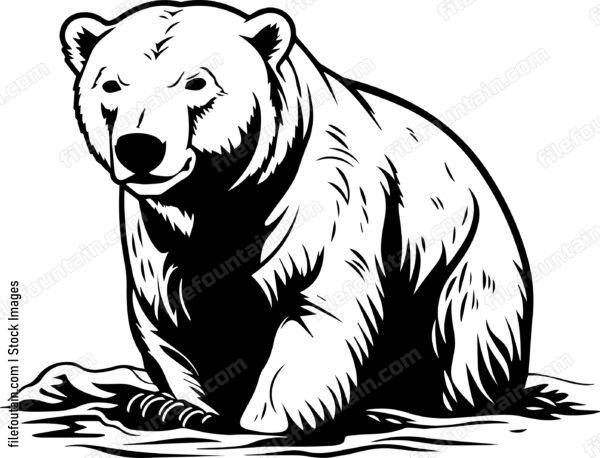 Polar Bear