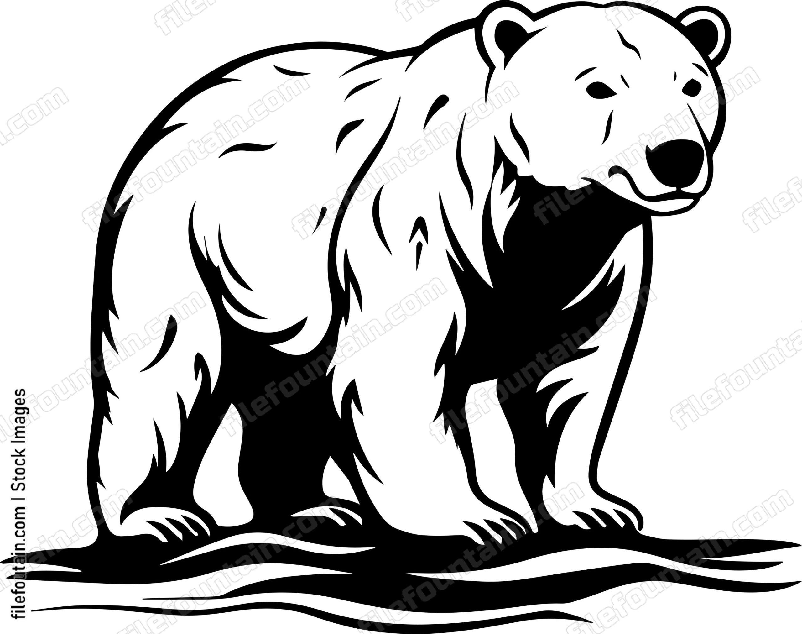 Polar Bear