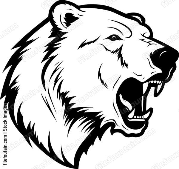 Polar Bear