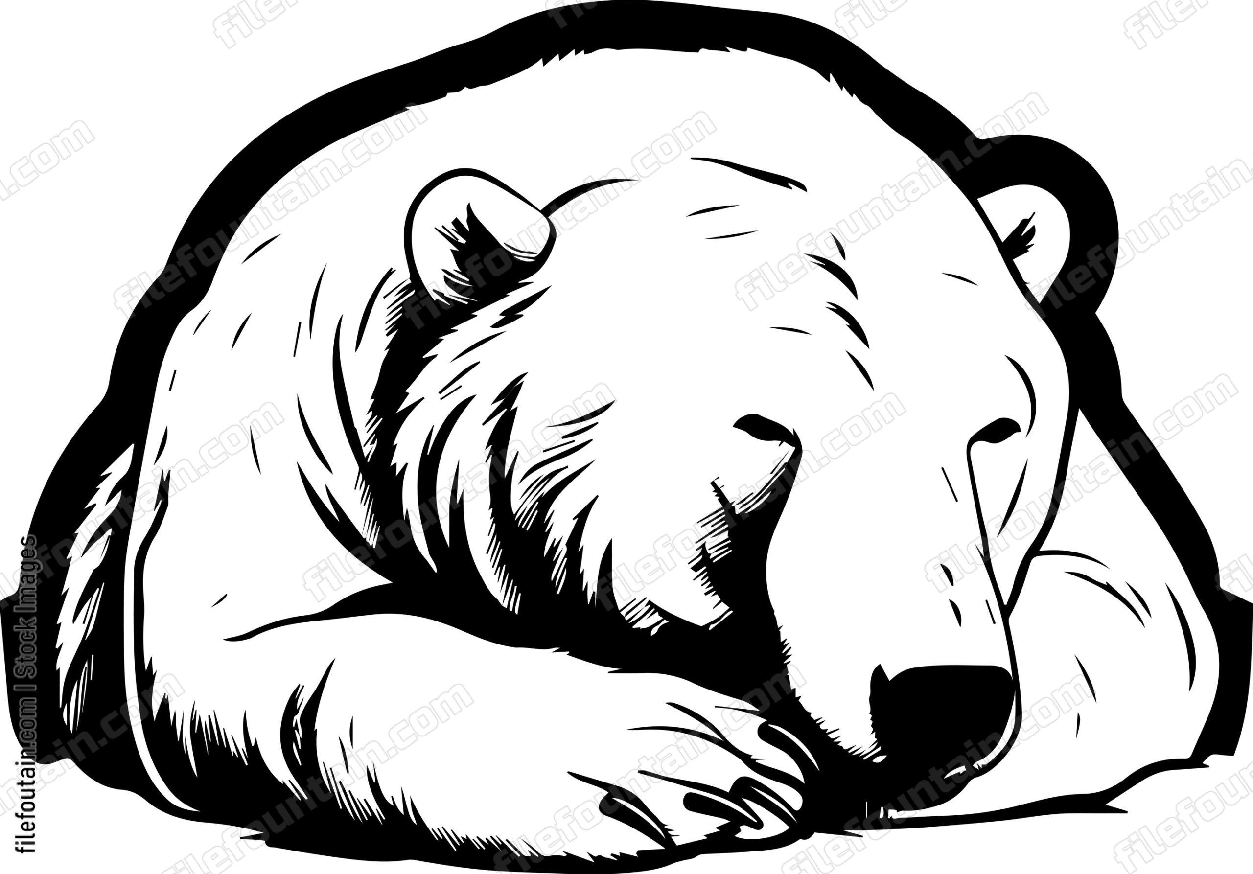 Polar Bear Sleeping