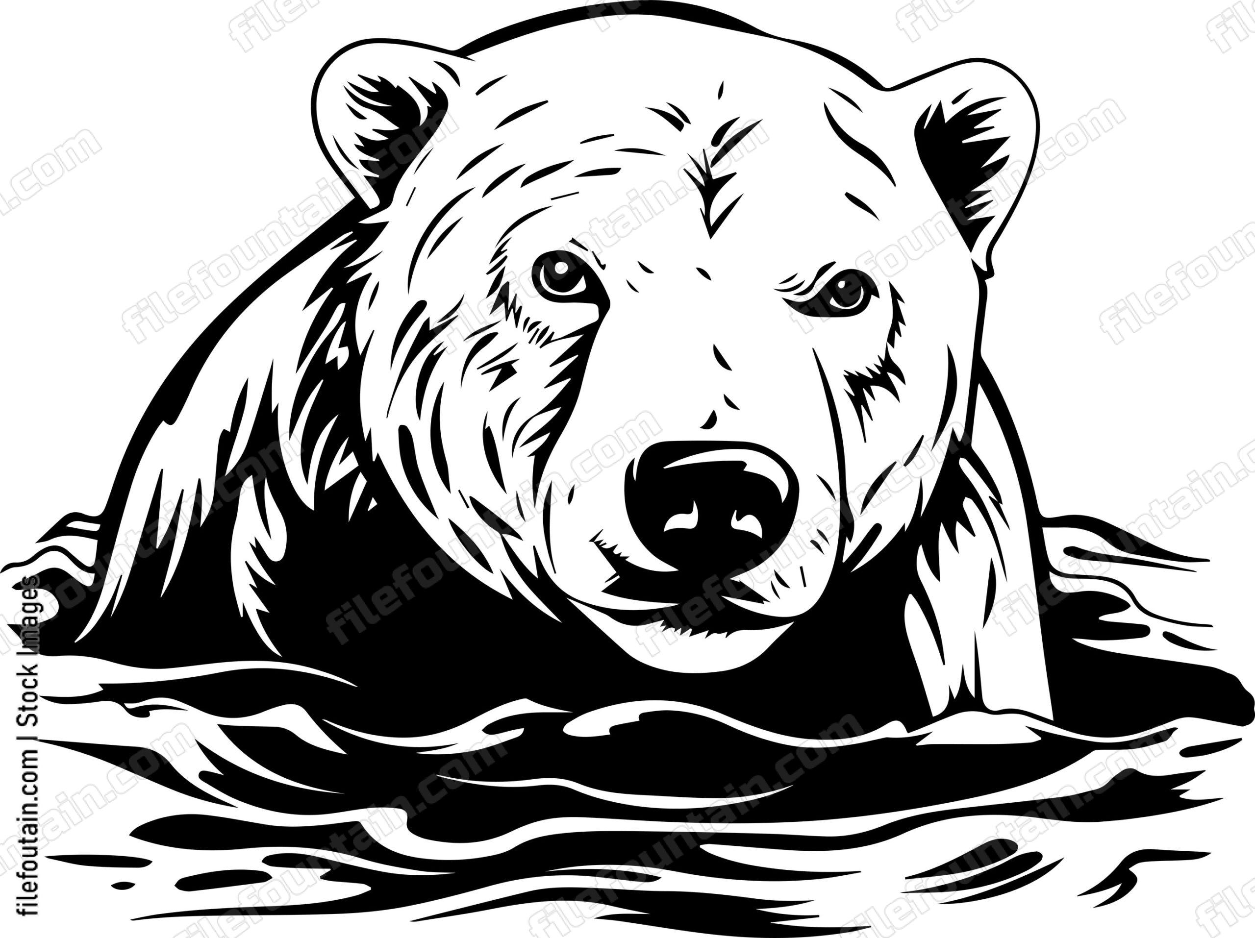 Polar Bear Swimming In Water