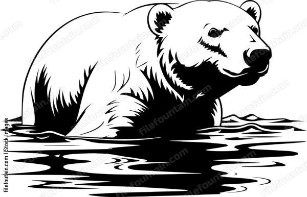 Polar Bear Swimming In Water