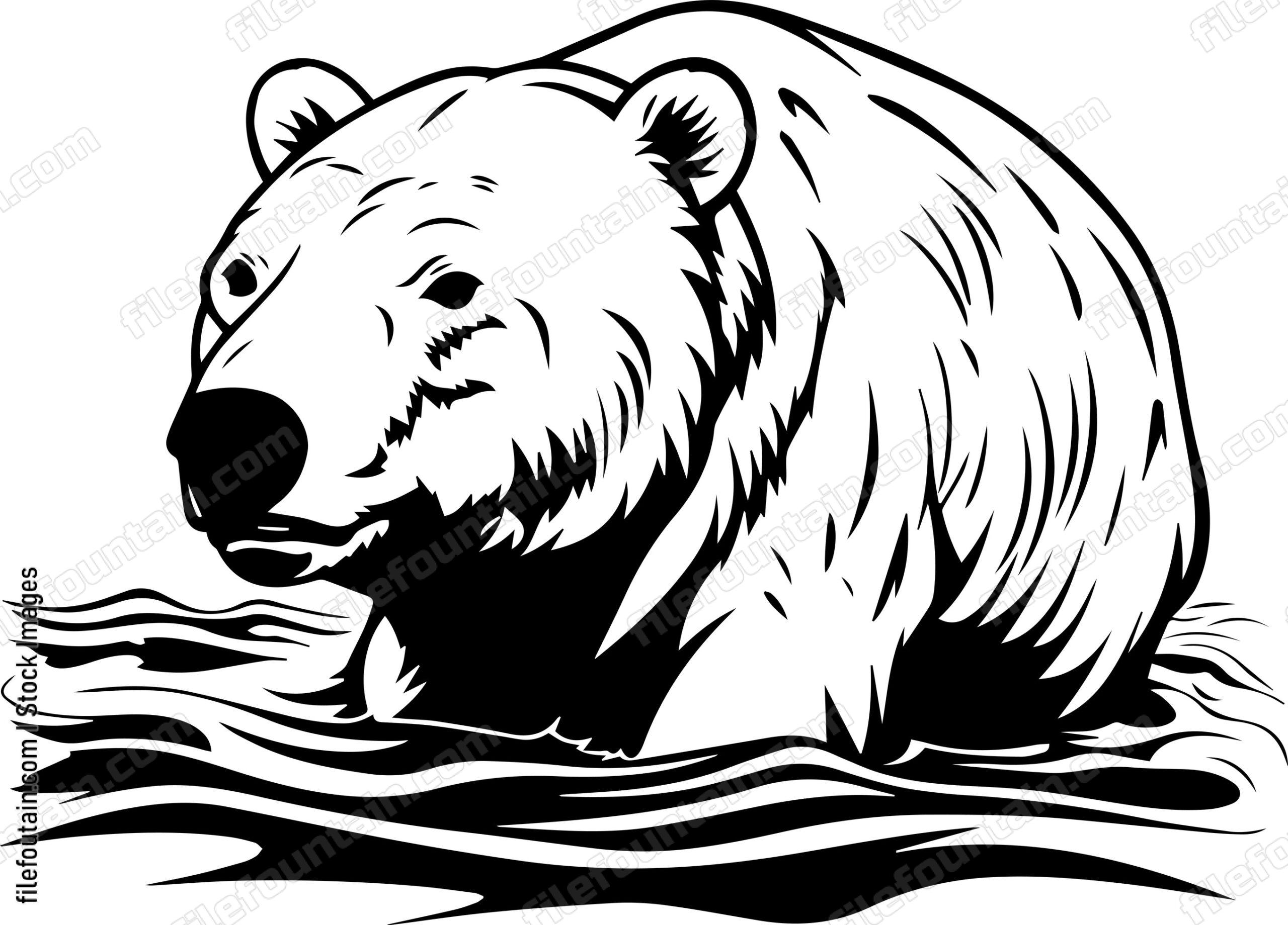 Polar Bear Swimming In Water