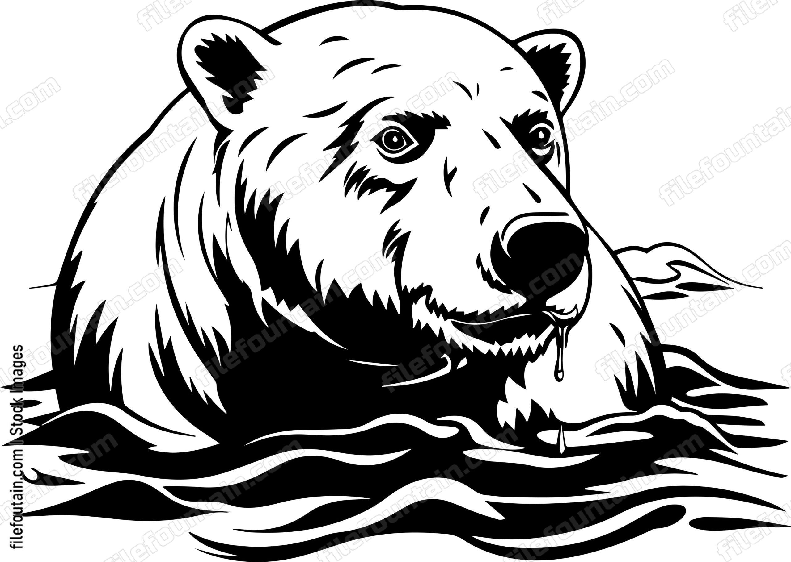 Polar Bear Swimming In Water
