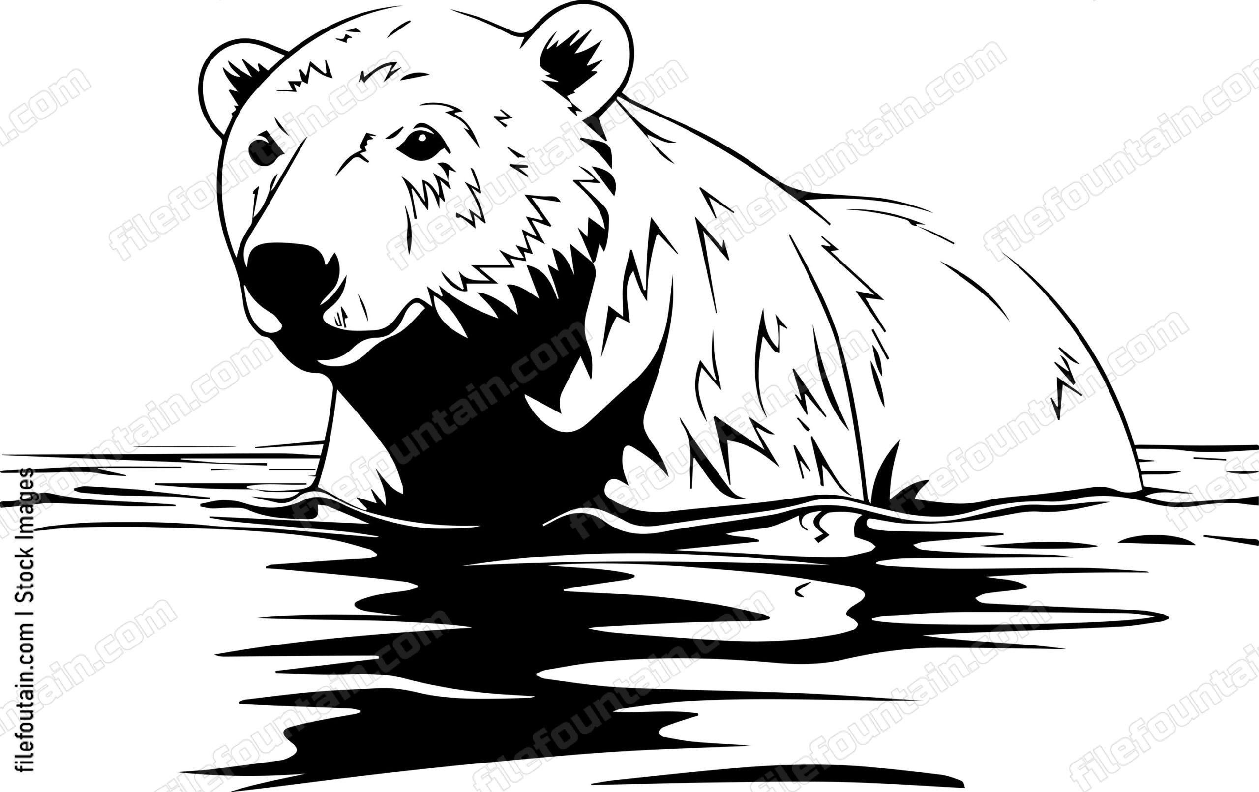 Polar Bear Swimming In Water