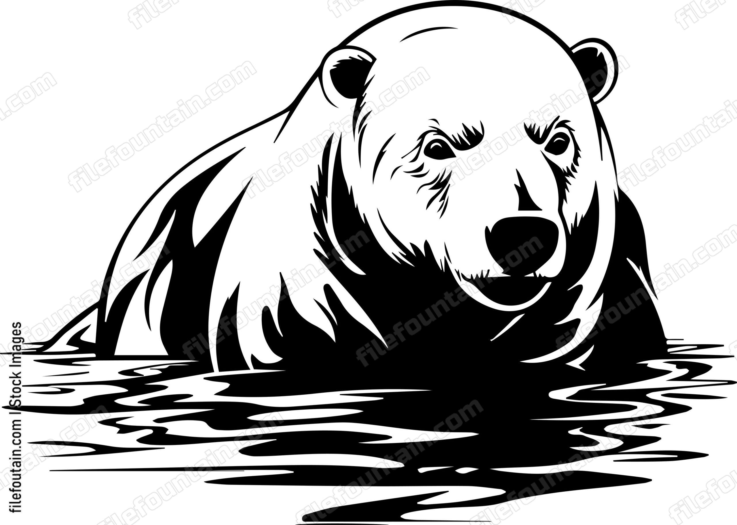 Polar Bear Swimming In Water