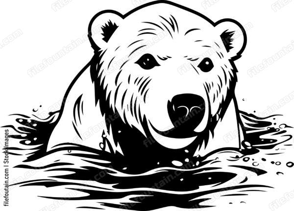 Polar Bear Swimming In Water