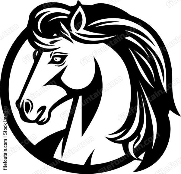 Pony