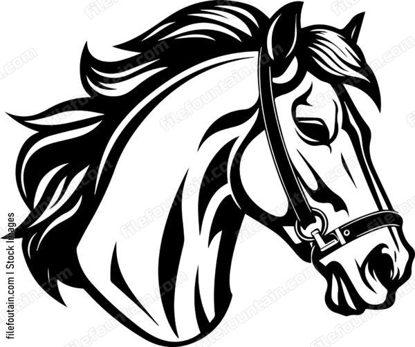 Pony