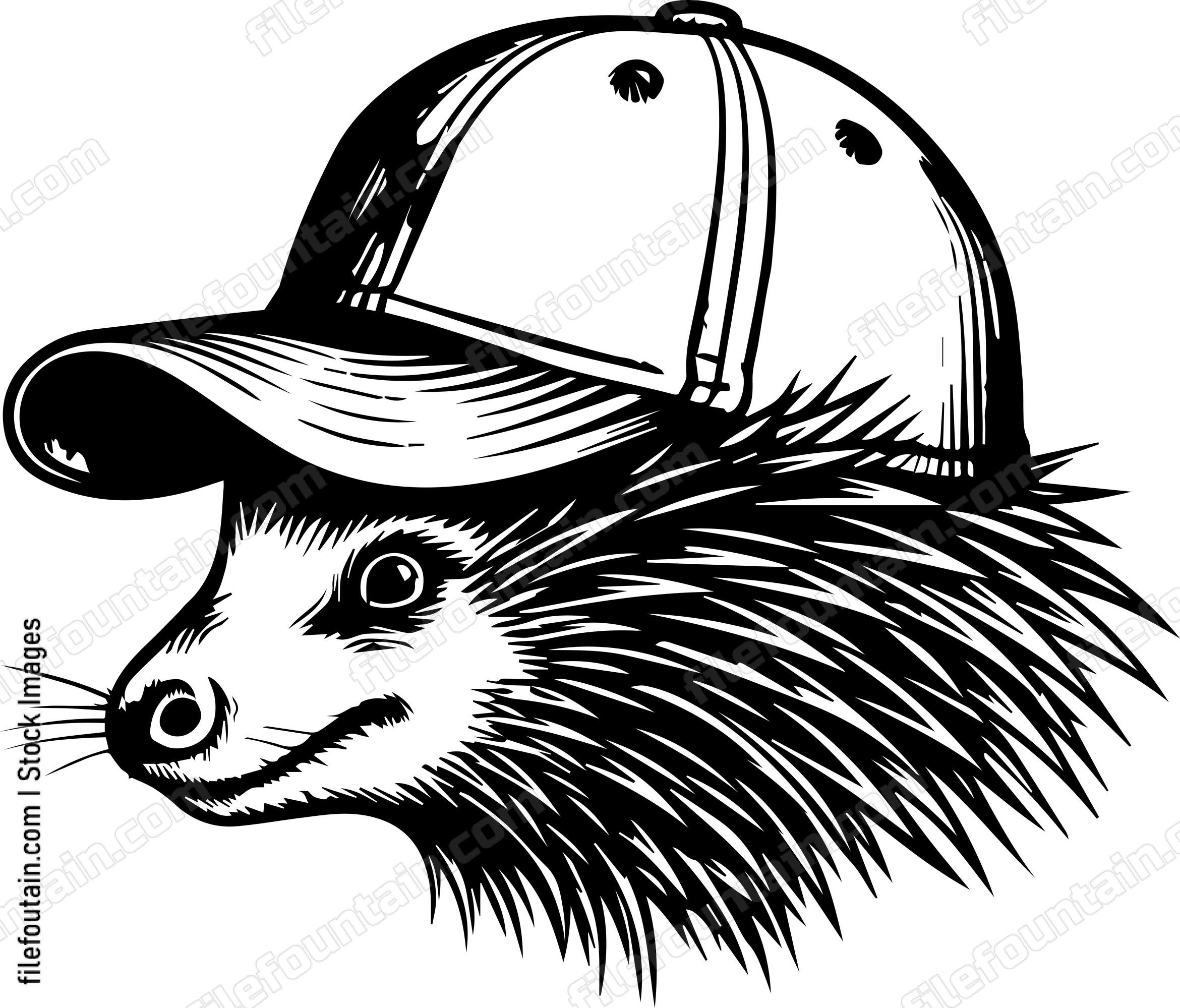 Porcupine In Baseball Cap