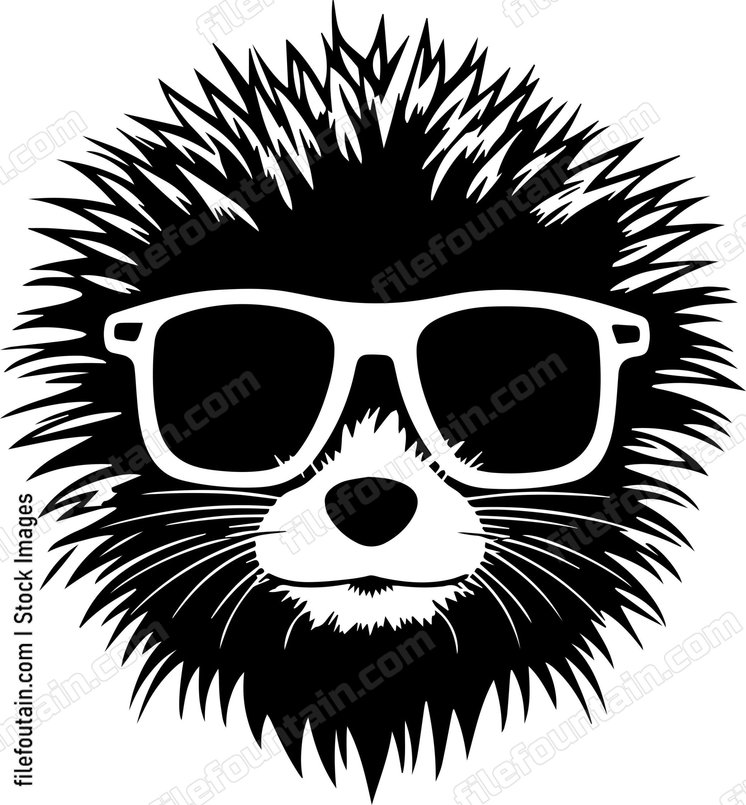 Porcupine In Sunglasses